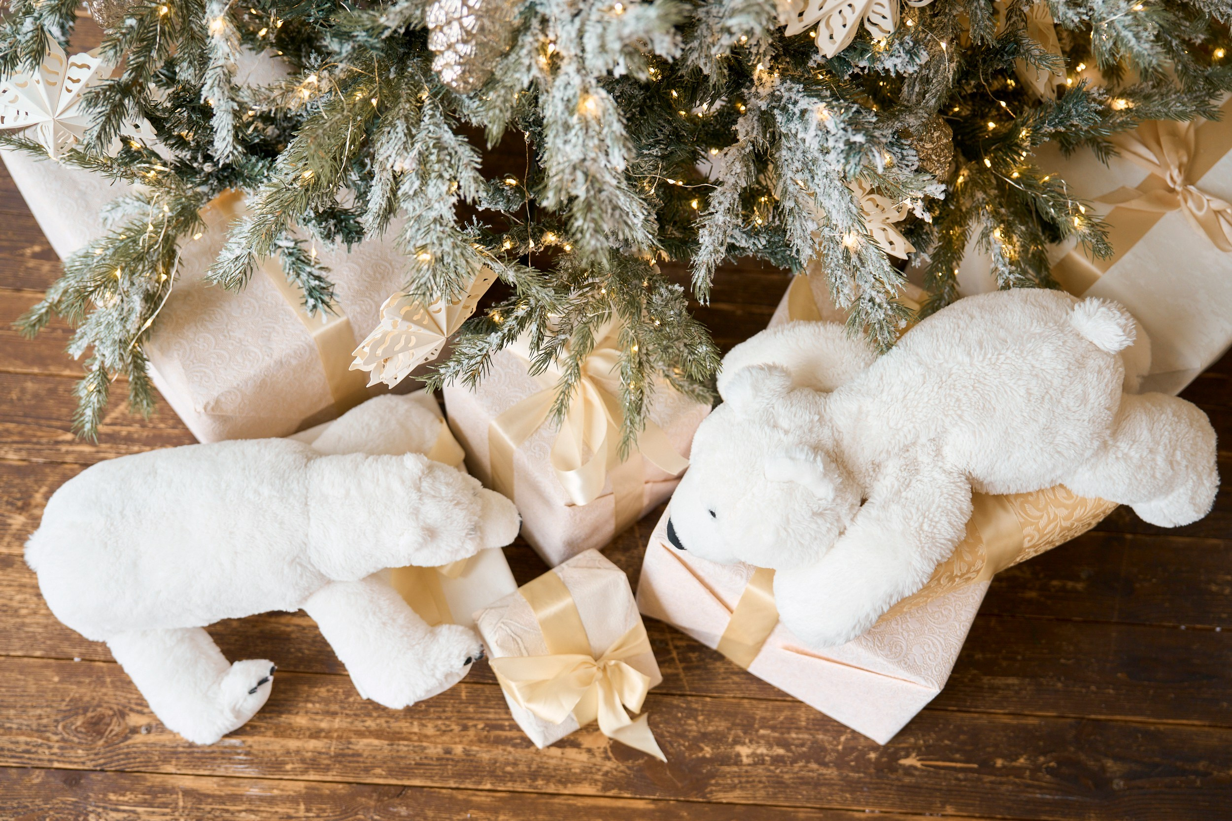 Флэт (Flat). Фотограф г. Хабаровск. Семейные и индивидуальные съёмки