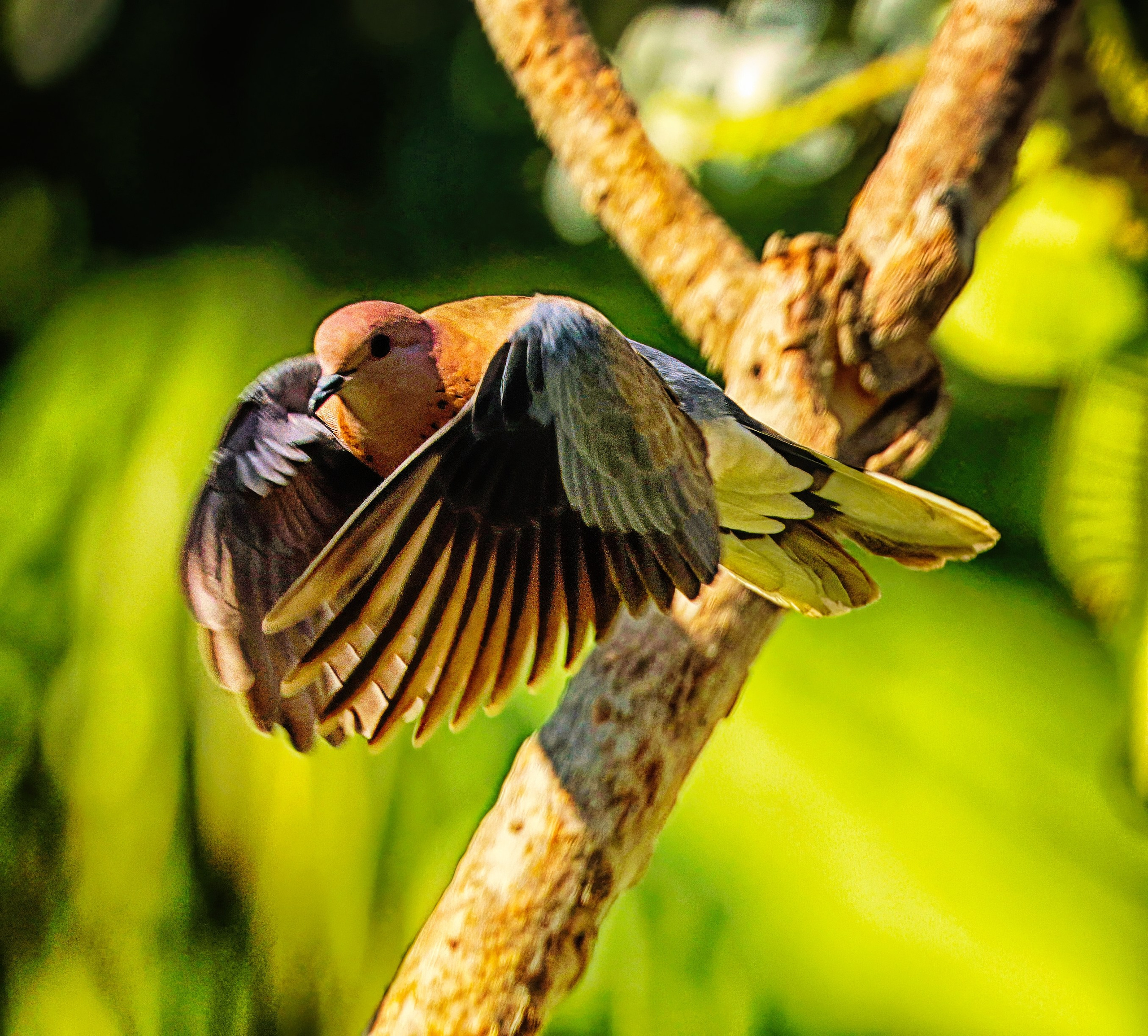 Слепки времени. Фотографии природы и событий. Москва. Сергей Аллагулов