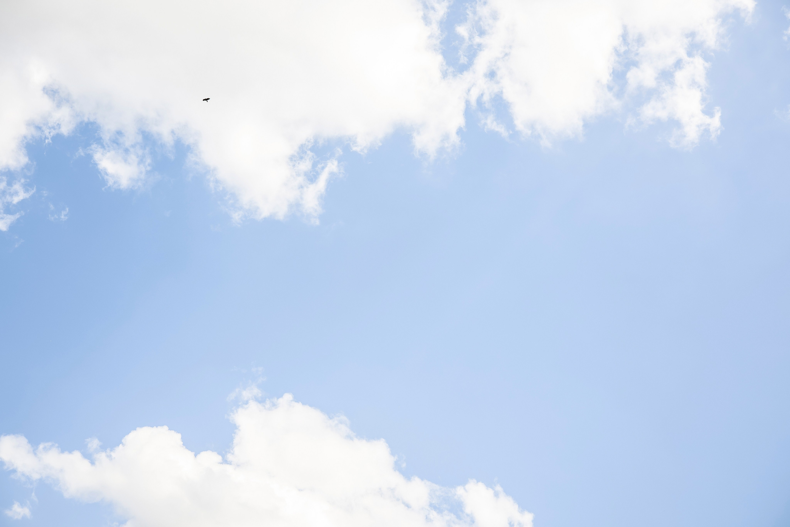 Уличные съемки. Свадебный и семейный фотограф | SVET.photo