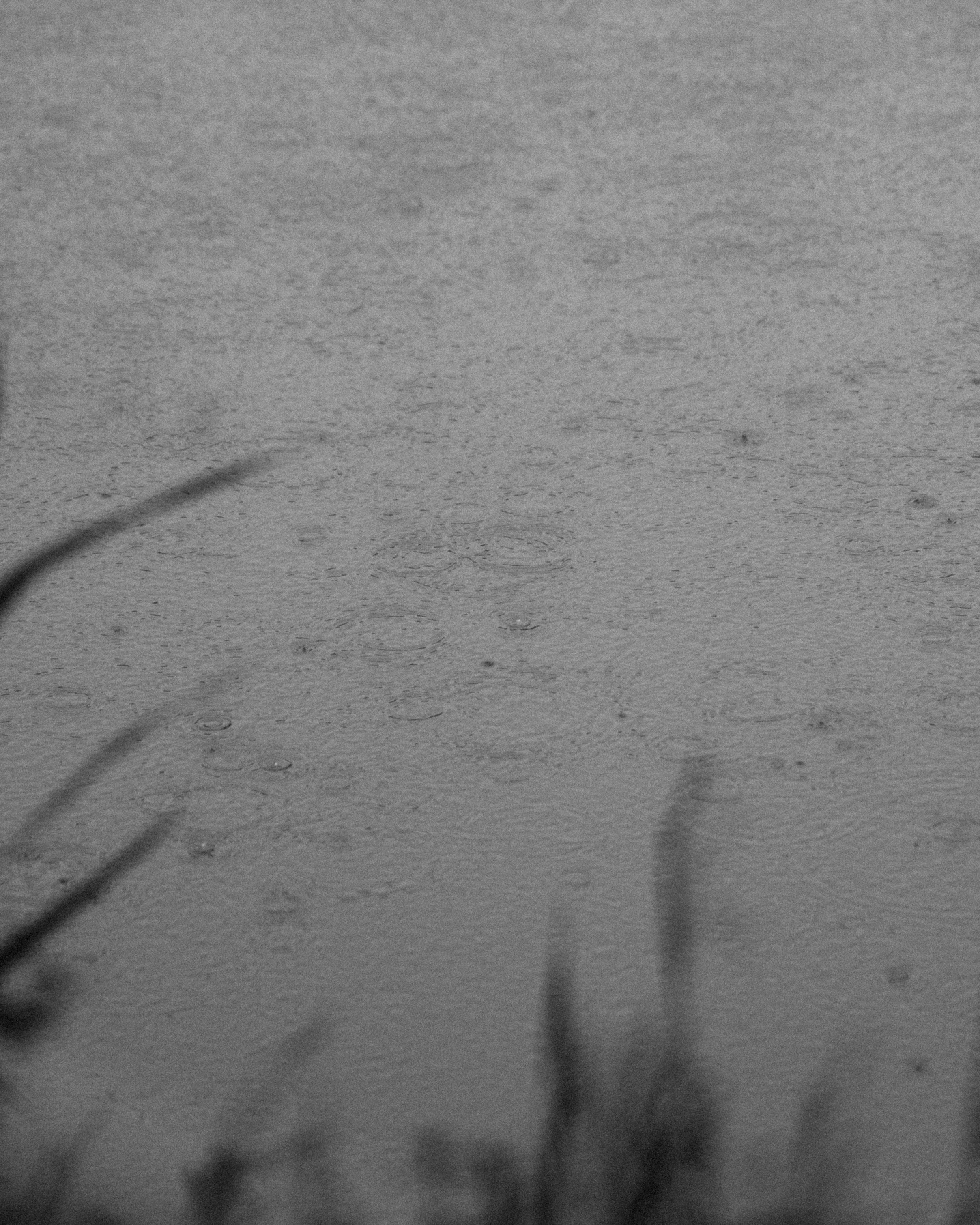 Любовь и уют. Свадебный фотограф в Краснодаре и Сочи Винидиктова Екатерина