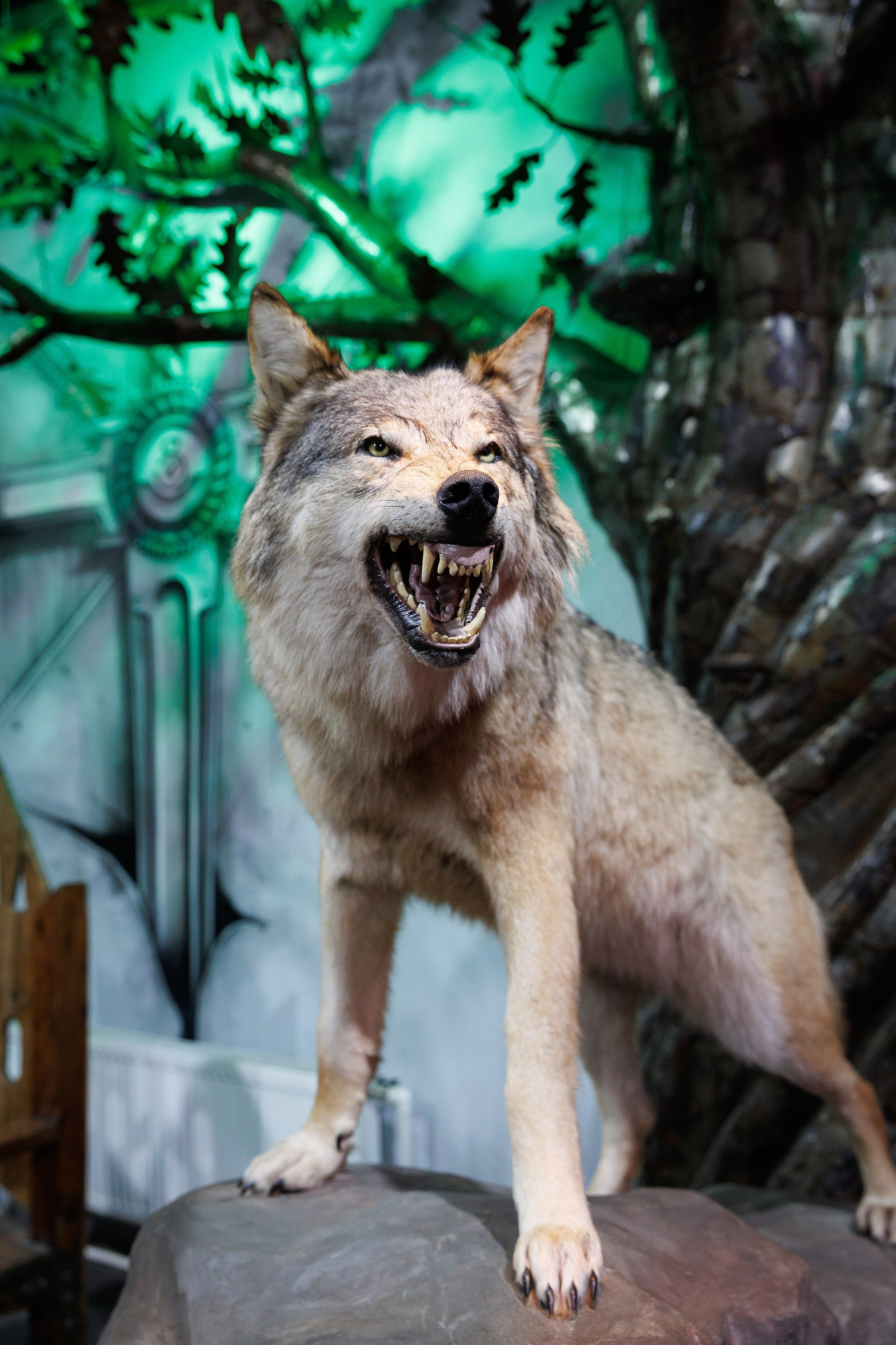 Юбилей в Sexton