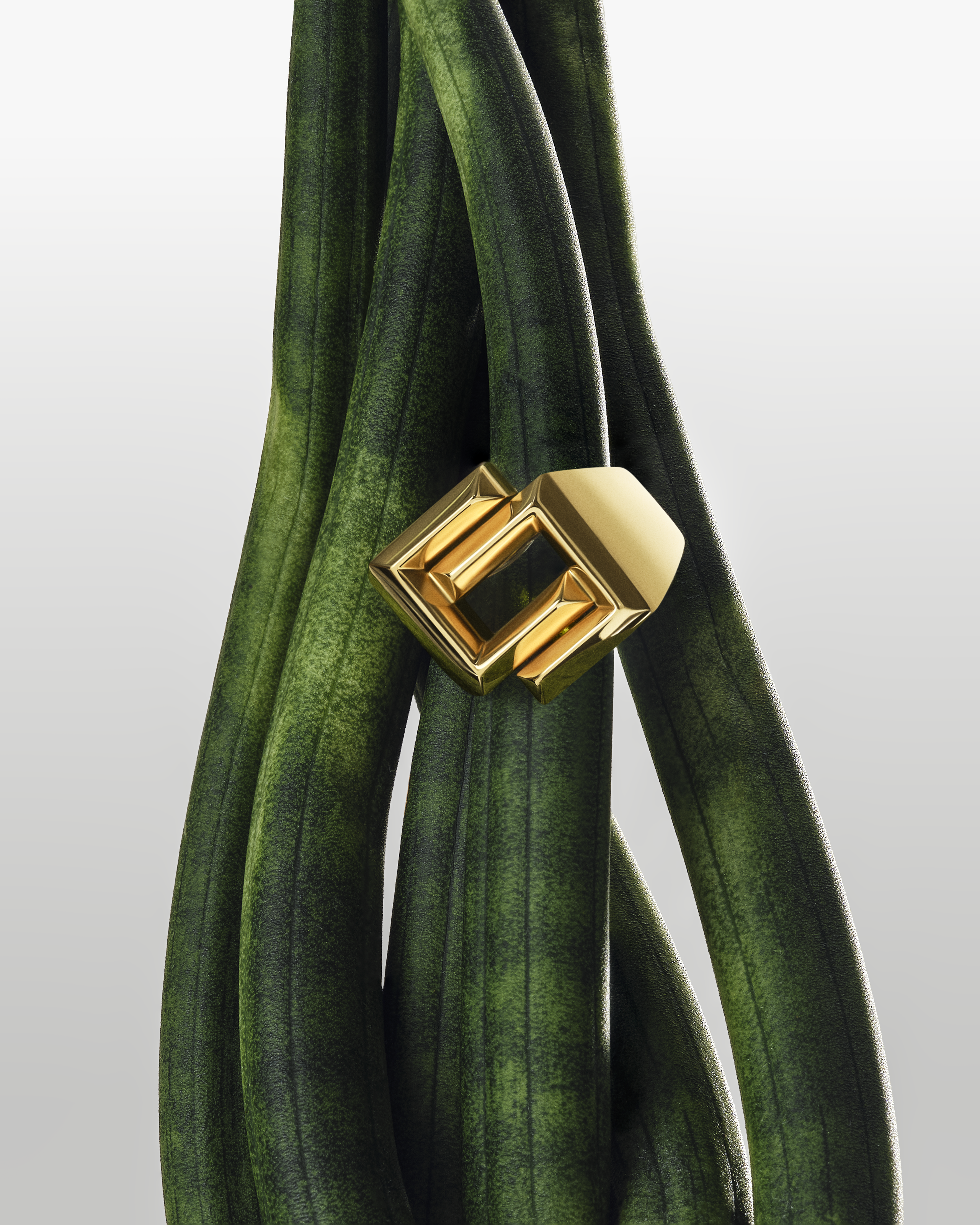 Jewelry. Retouching service