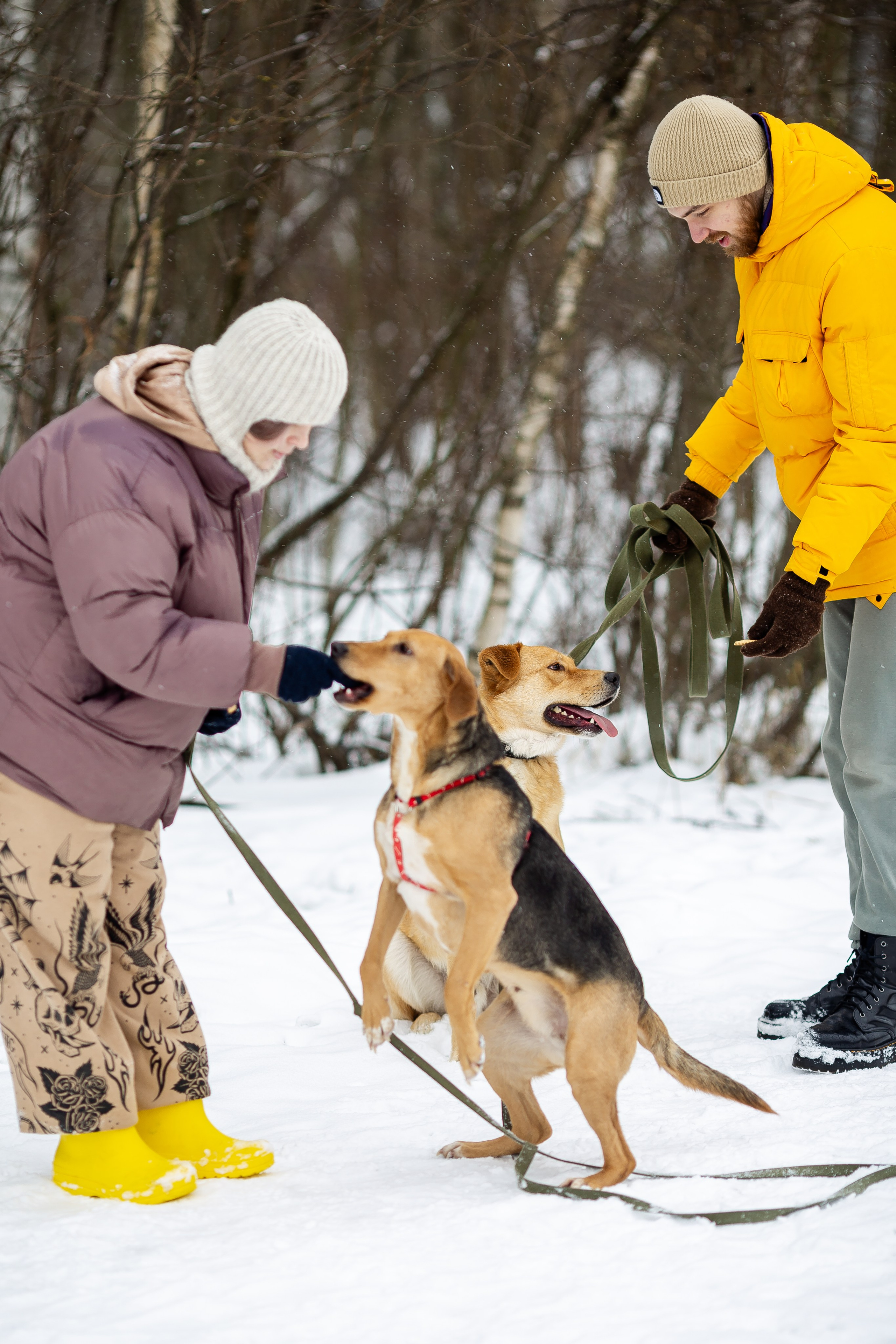 Petshop Забота. Фотограф в Санкт-Петербурге Чумаков Семен