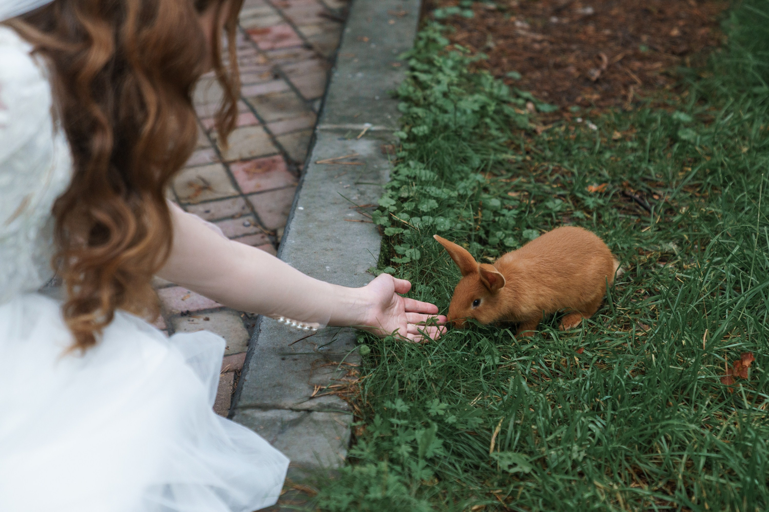 Оля и Илья. Репортажный фотограф Новосибирск Малахова Екатерина