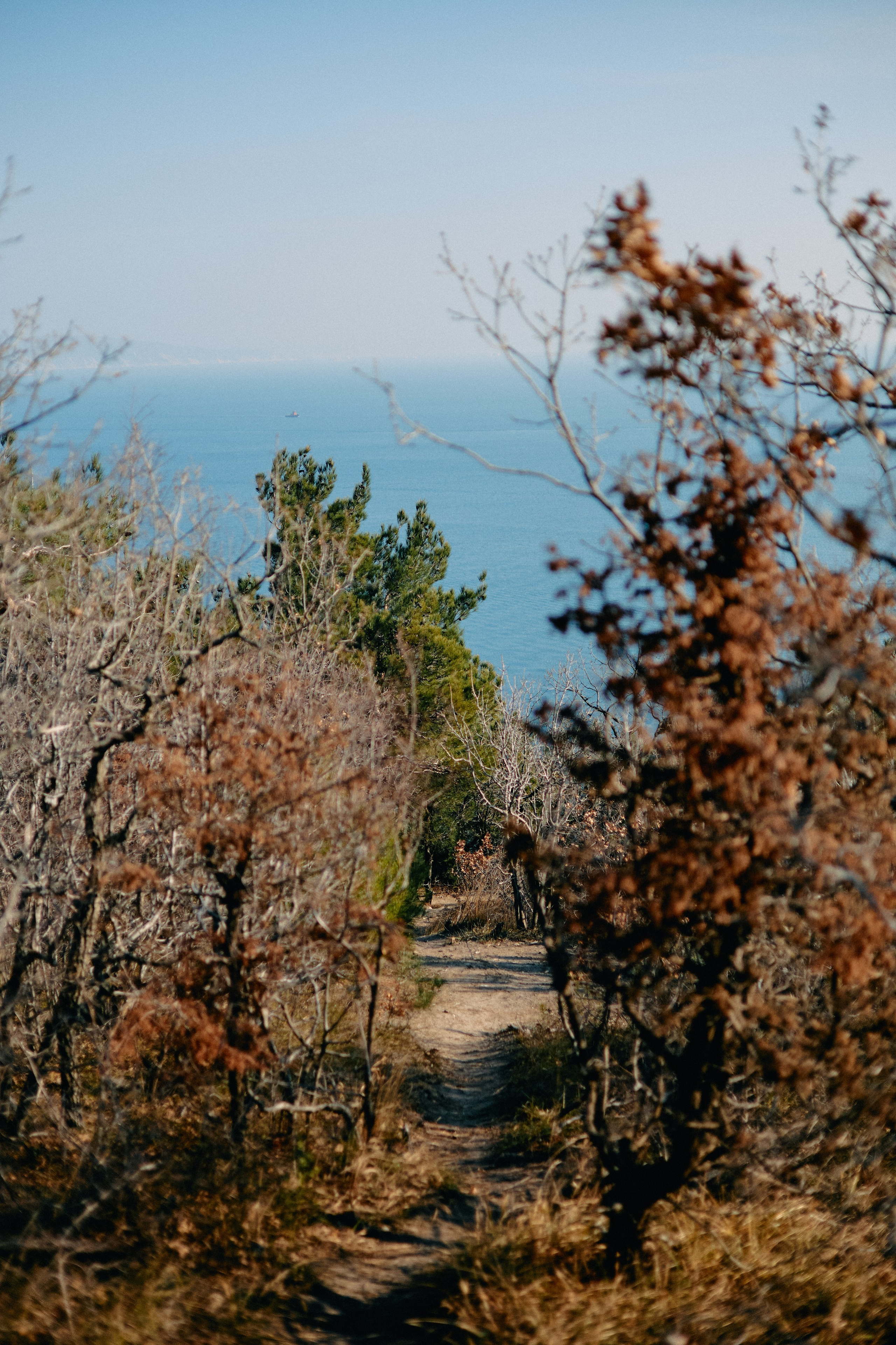 Юг России. Профессиональный Фотограф во Владимире, в Москве и в Суздале — Полина Романычева