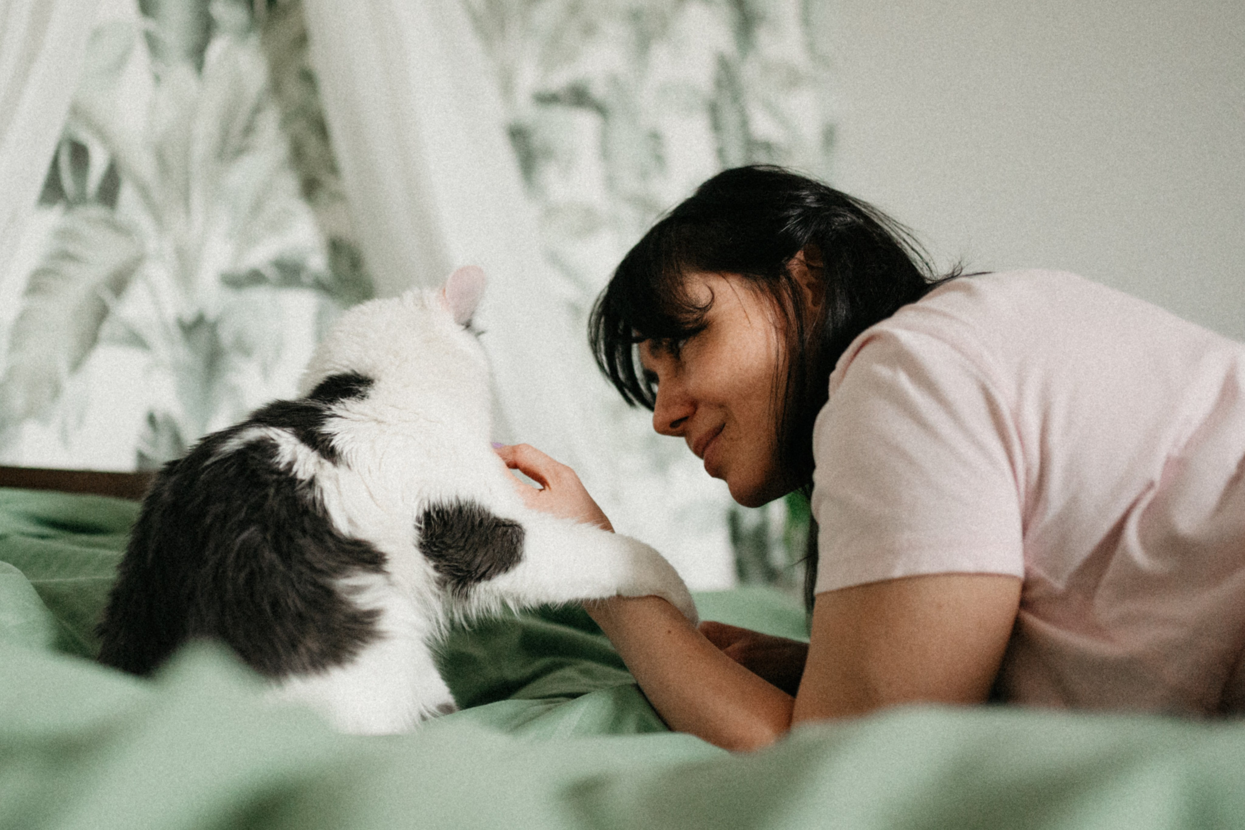 Оля и её меховая банда. Фотограф анималист в Москве Ольга Агушева