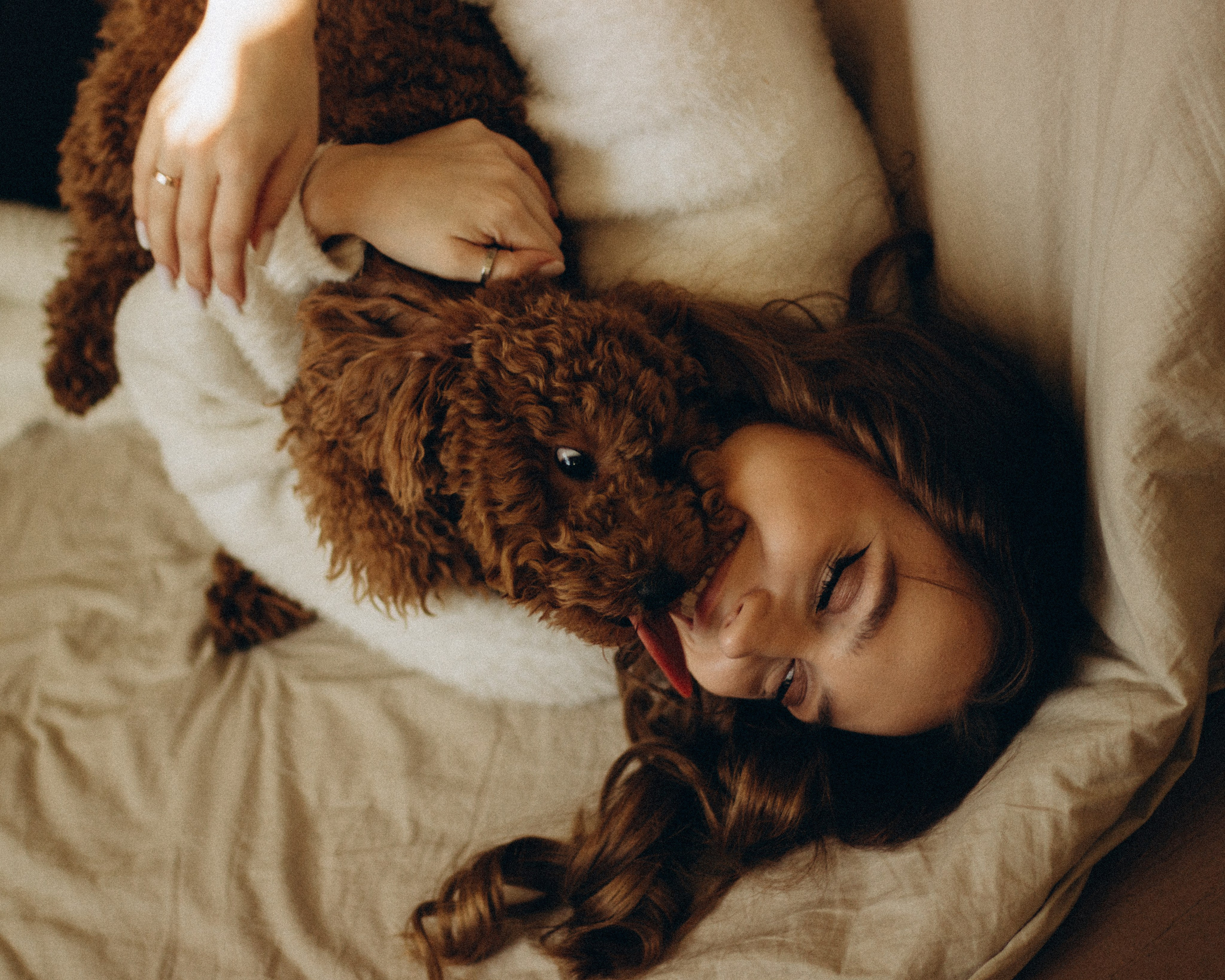 Пушистая история Гречки. Семейный фотограф в Нижнем Новгороде