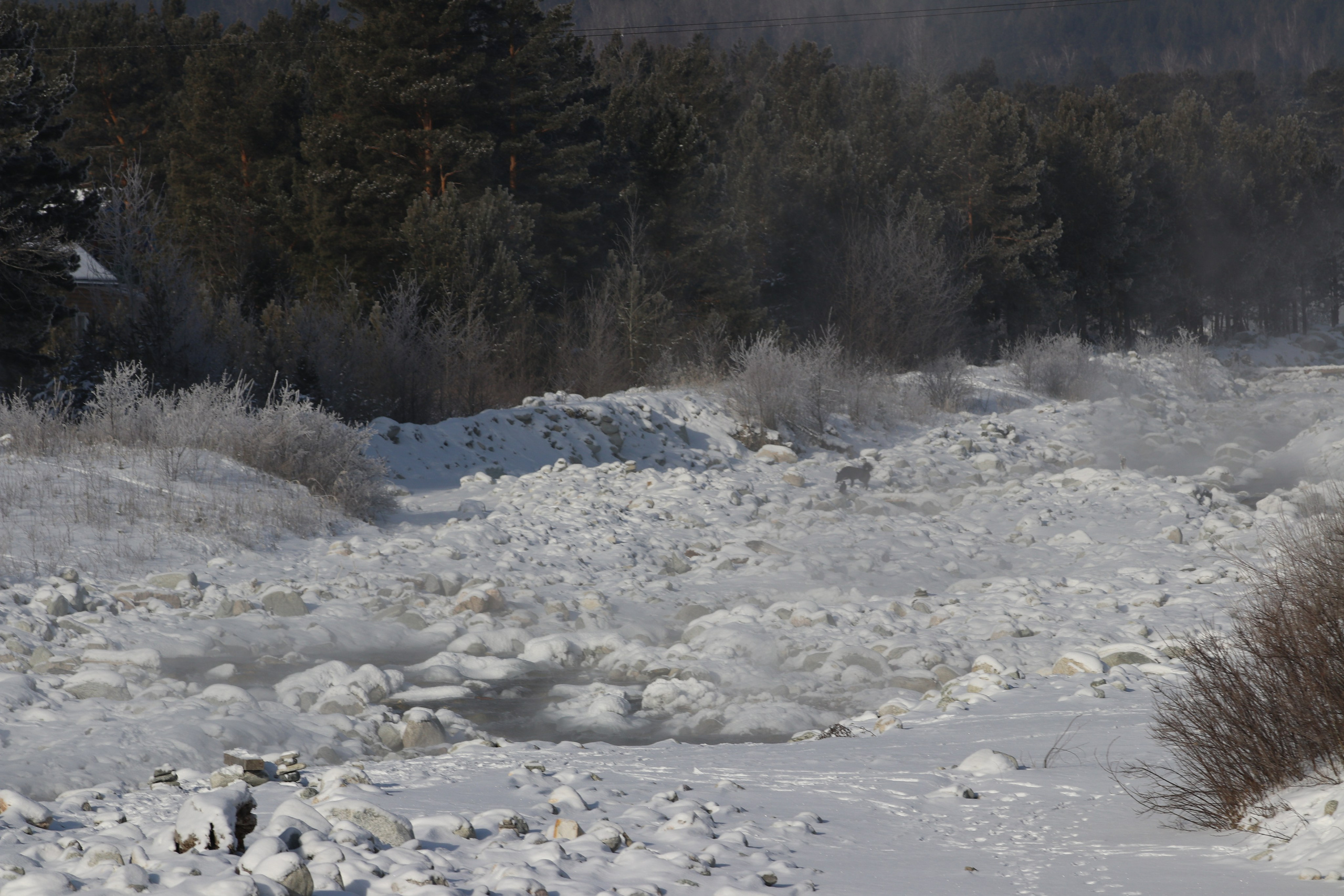 Аршан. Январь 2024. Путешественник-фотограф из Санкт-Петербурга Татьяна Свистулина