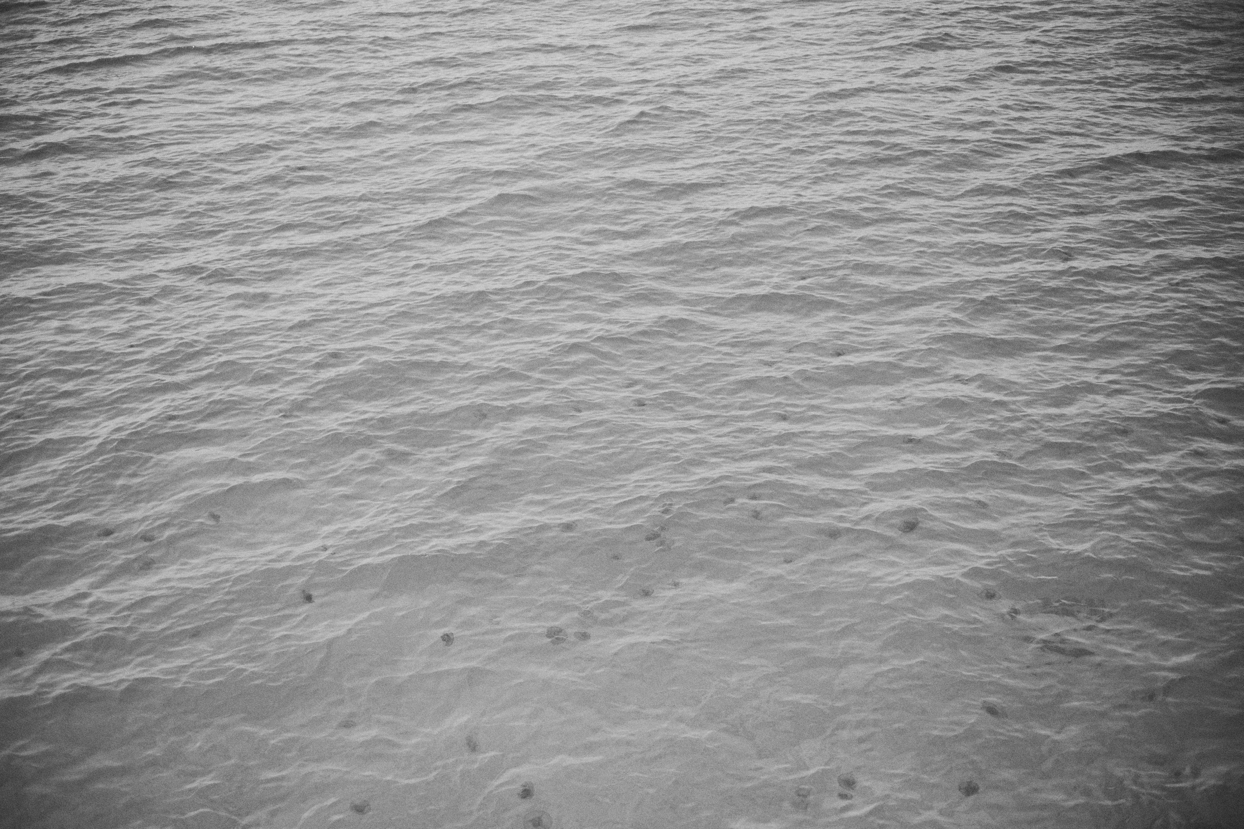 B&W. Jorgis — фотограф в Хургаде / обучение фотографии