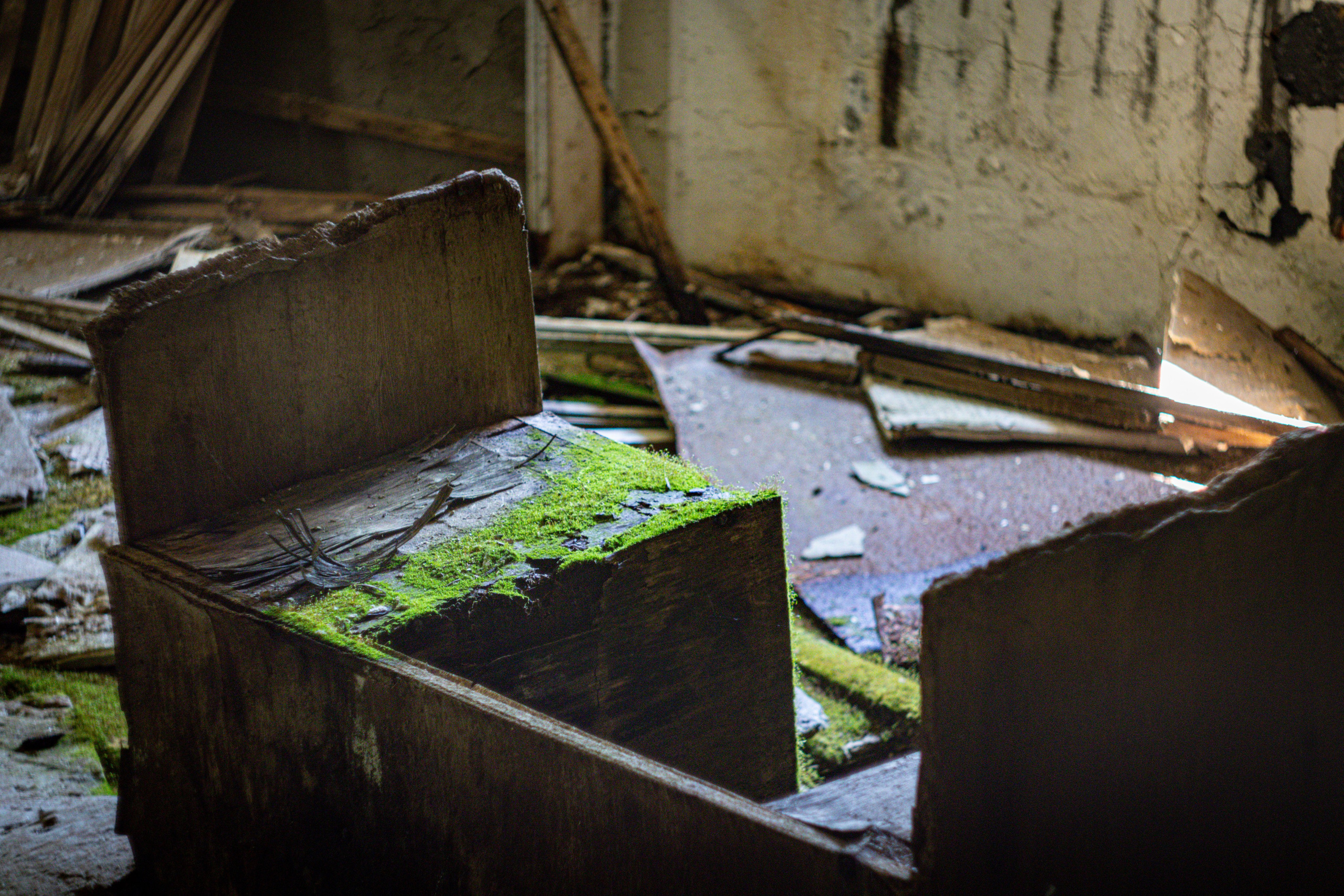 #давайубежим. Фотограф в Южно-Сахалинске Гусаков Евгений