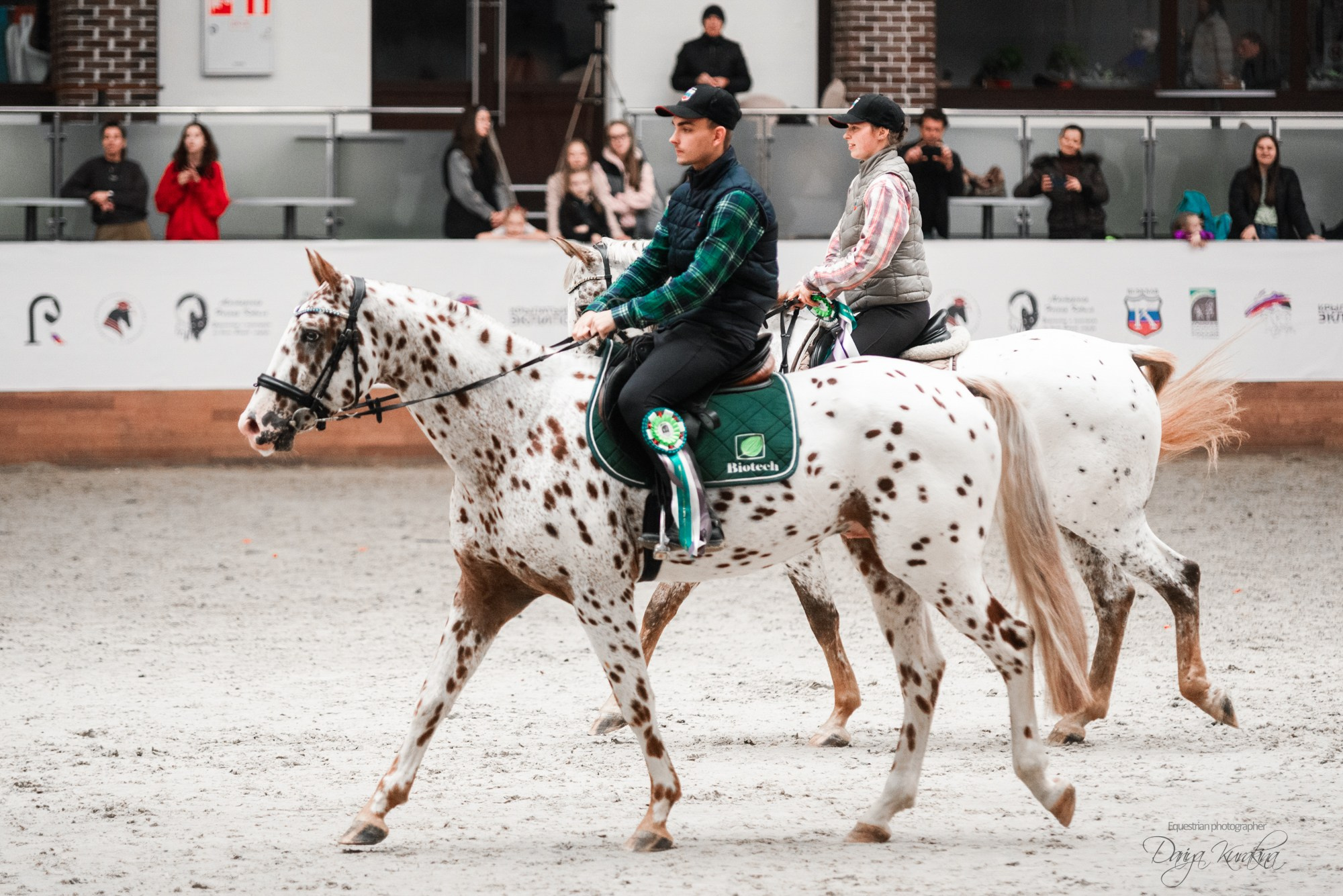 8-я международная выставка Конная Россия. Конный фотограф Куракина Дарья • Фотосессии с лошадьми