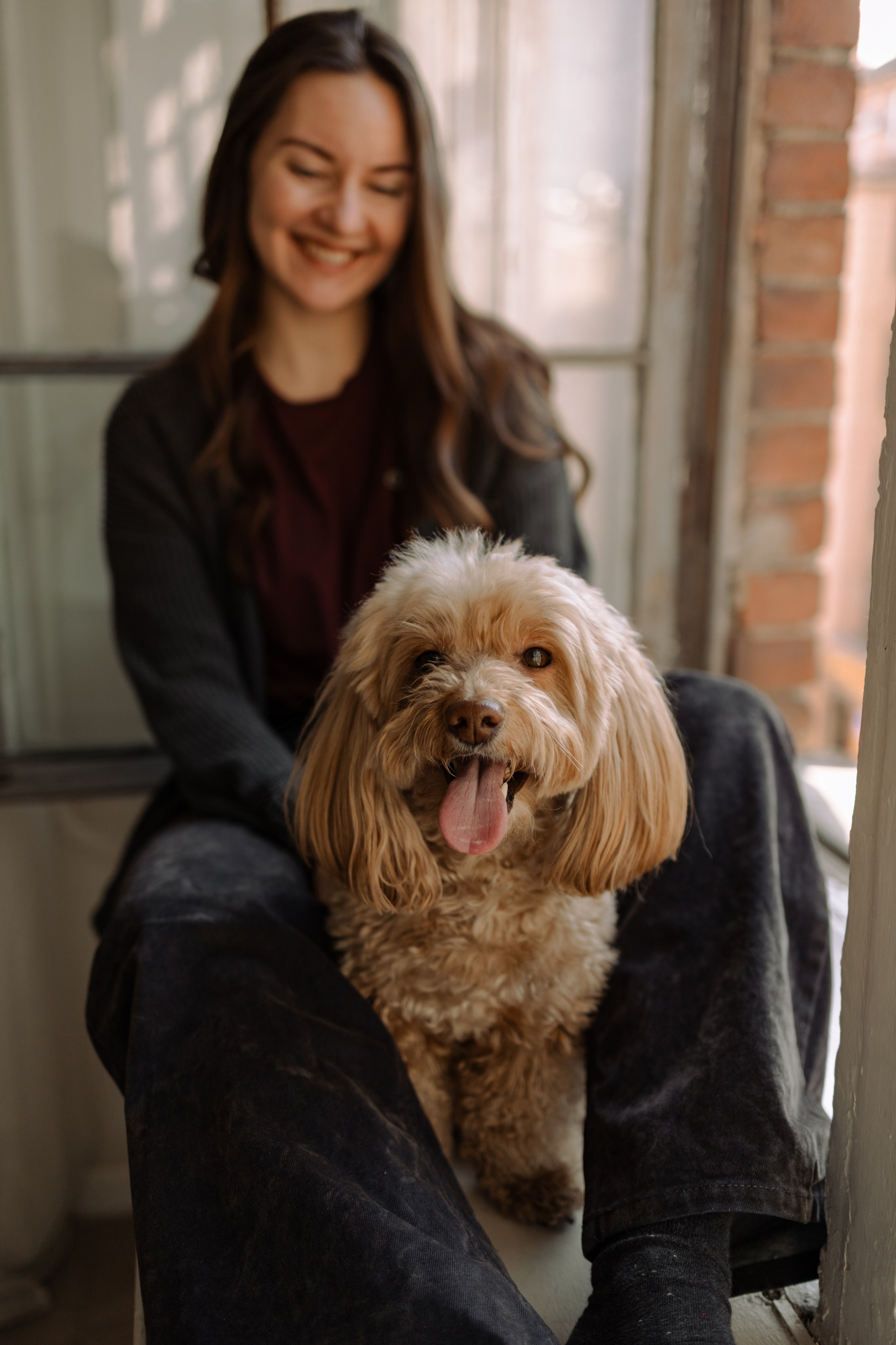 Шкипер и его семья. Фотограф — Анималист | Санкт-Петербург