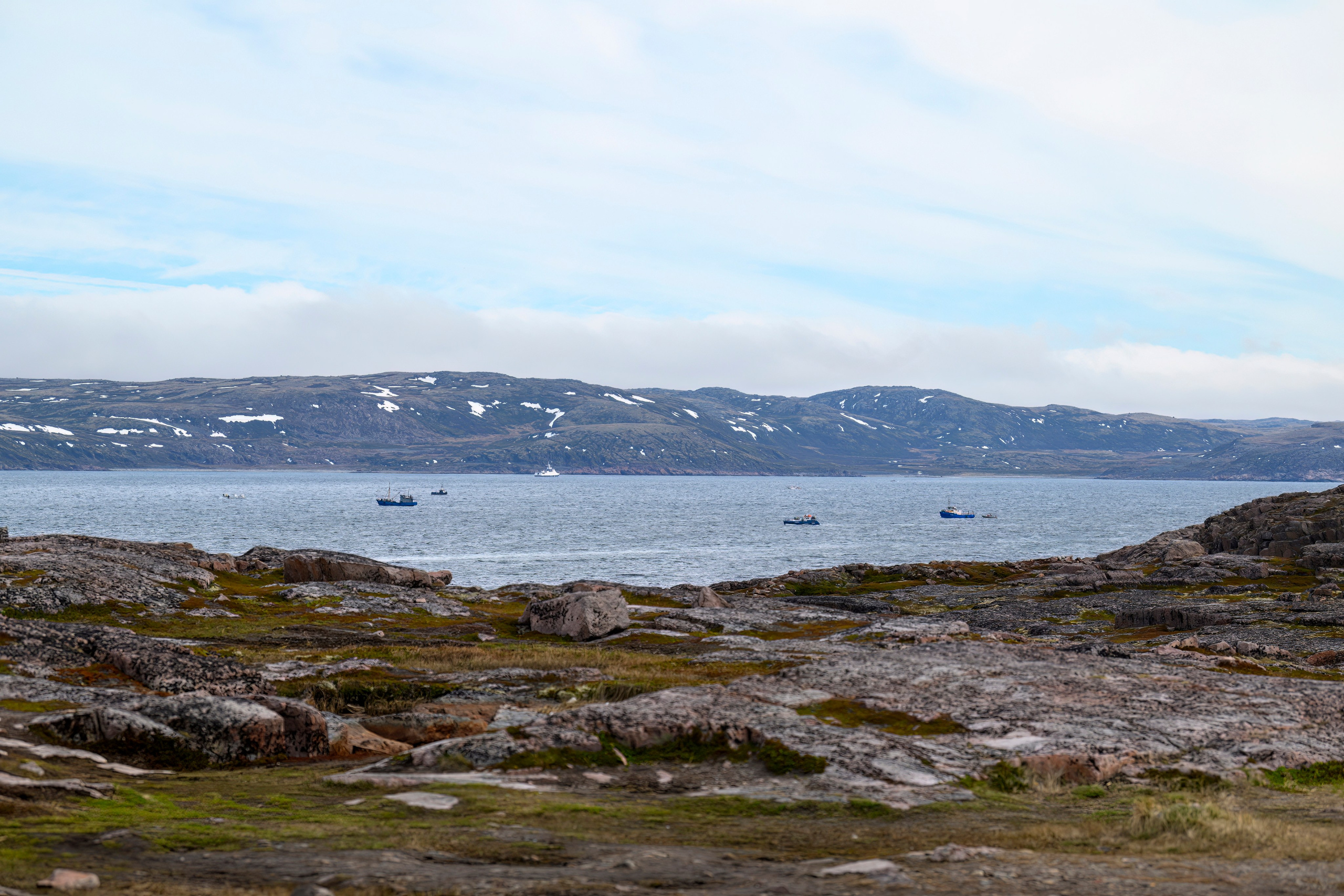 Мурманская область. Июнь 2024. Фотограф Сергей Пупонин