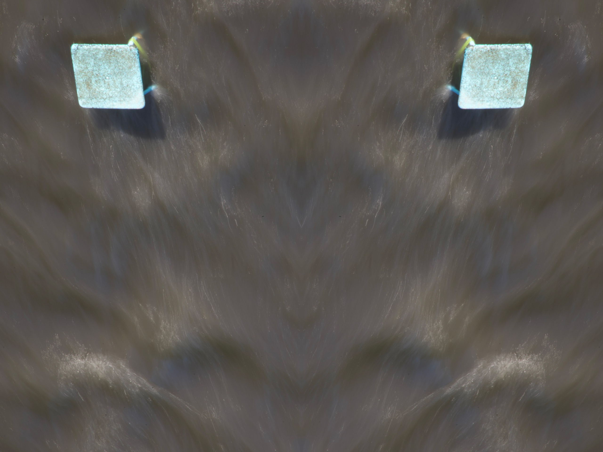 Urban flowers. Арт — фотограф Евгений Наймушин Новокузнецк