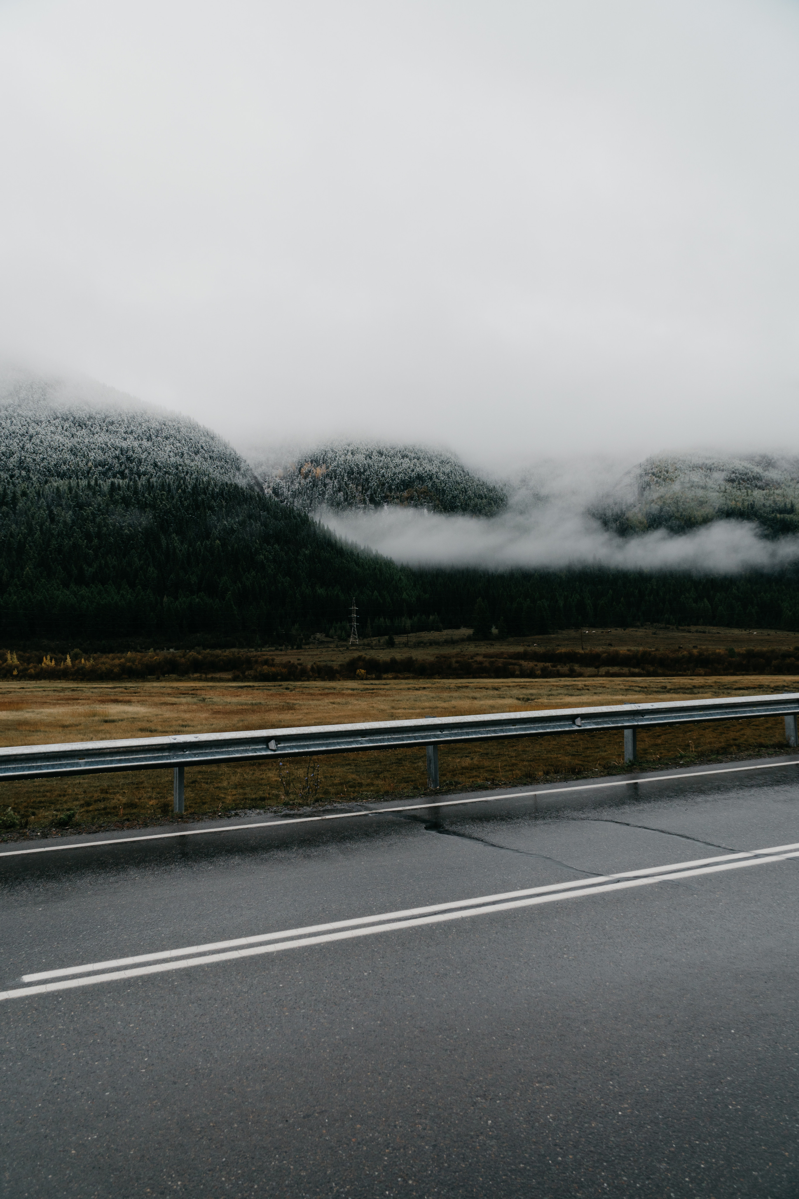 ФОТО. Видеограф Сочи Александр Барсуков