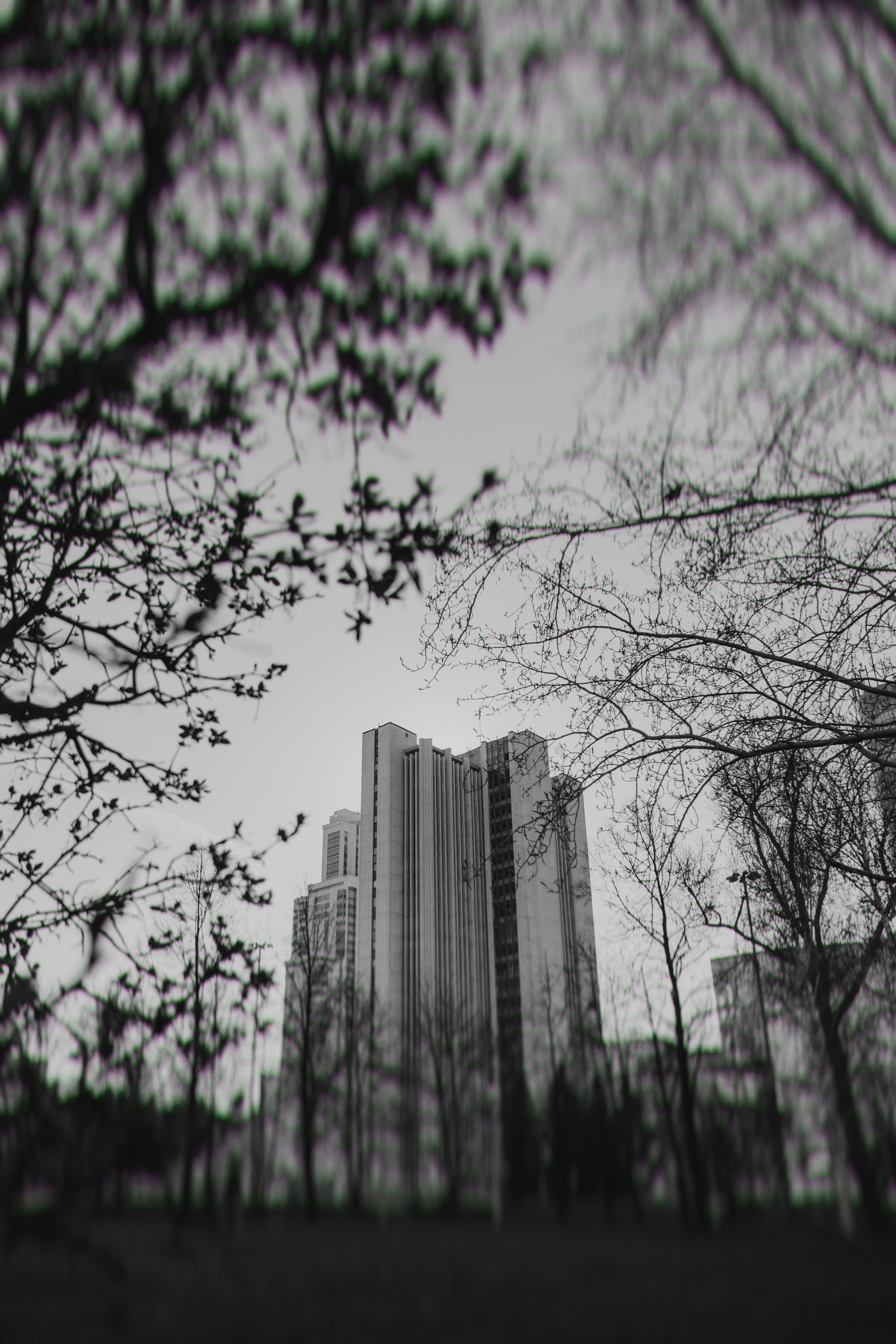 ФОТО. Видеограф Сочи Александр Барсуков