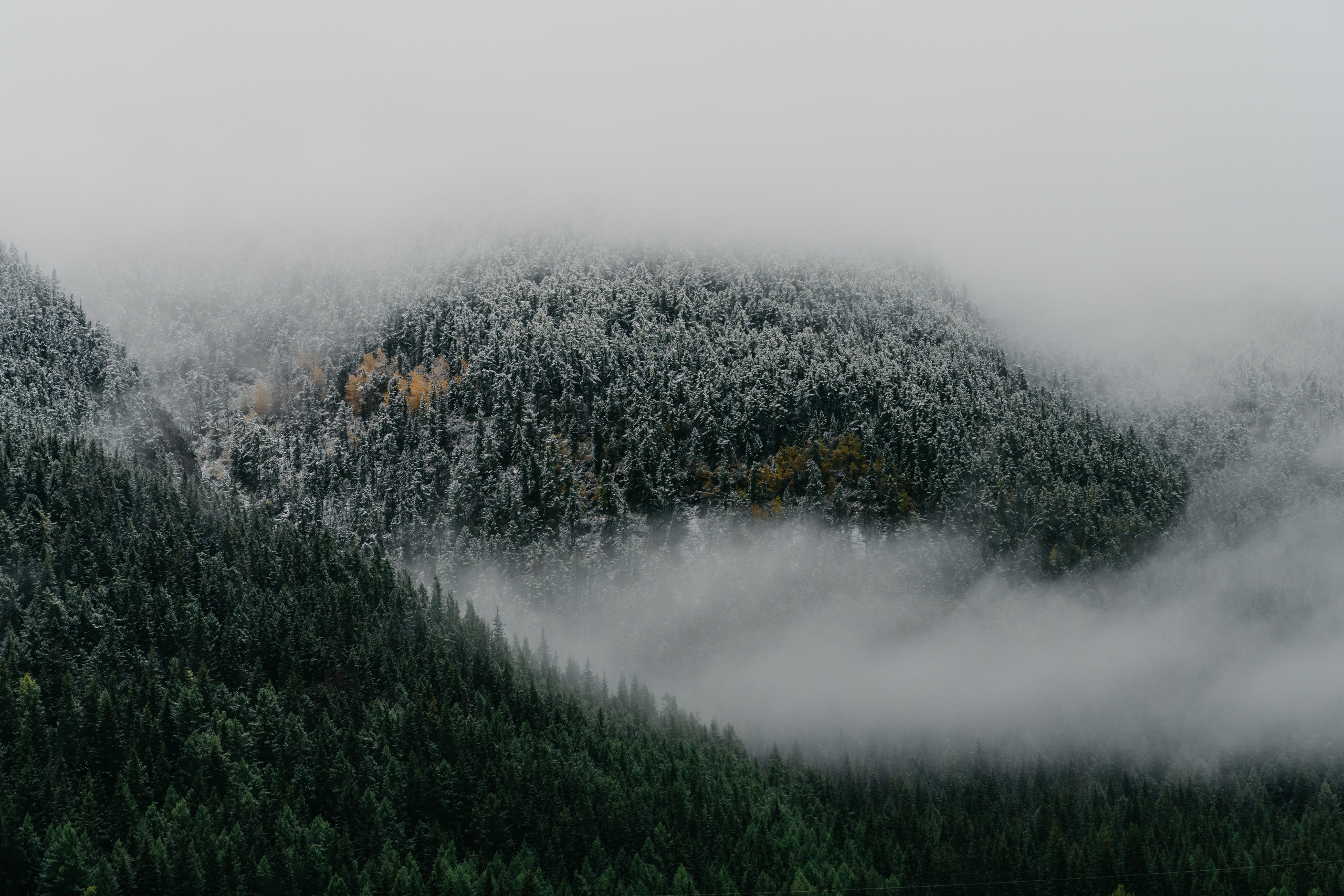 ФОТО. Видеограф Сочи Александр Барсуков