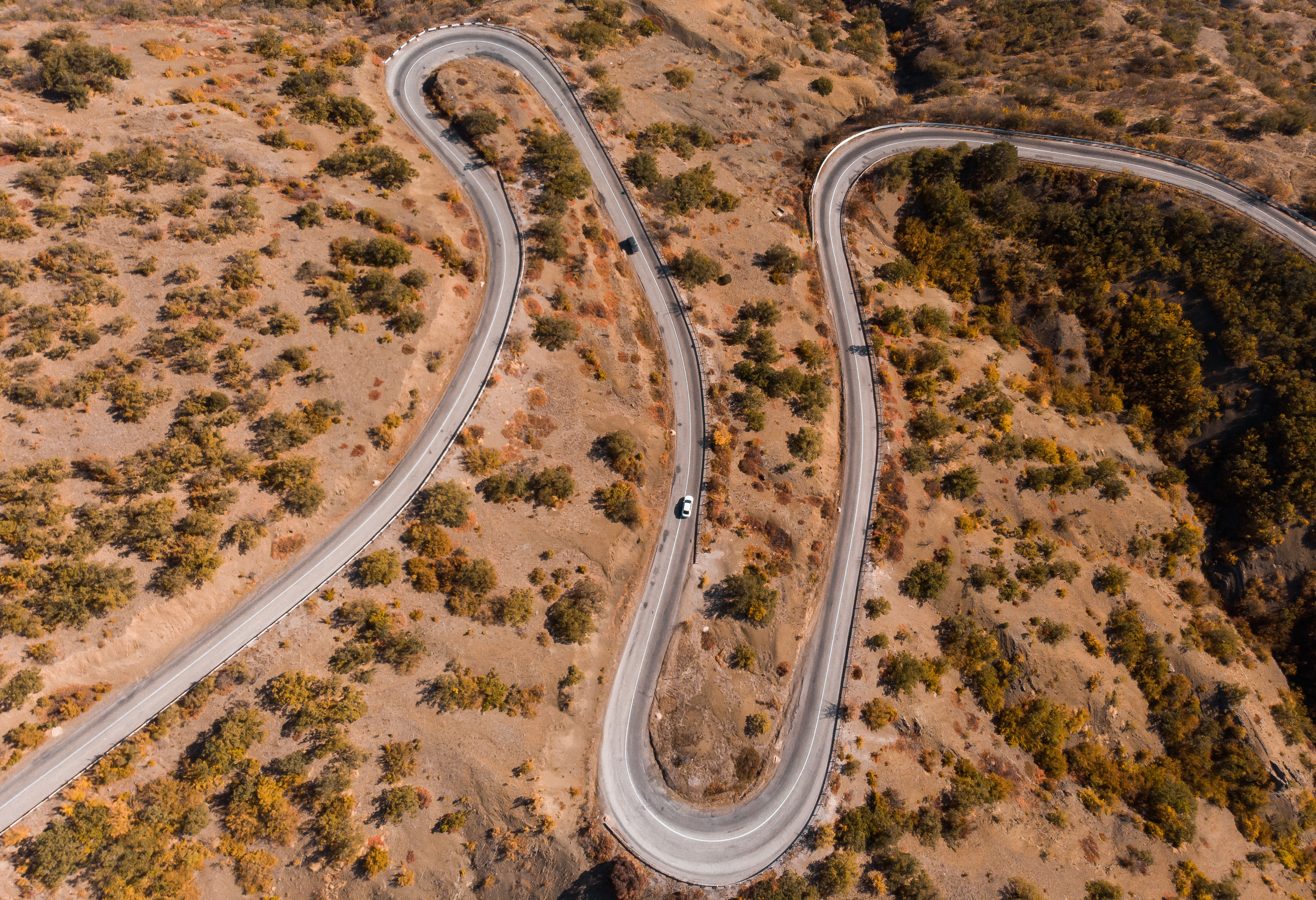 ФОТО. Видеограф Сочи Александр Барсуков