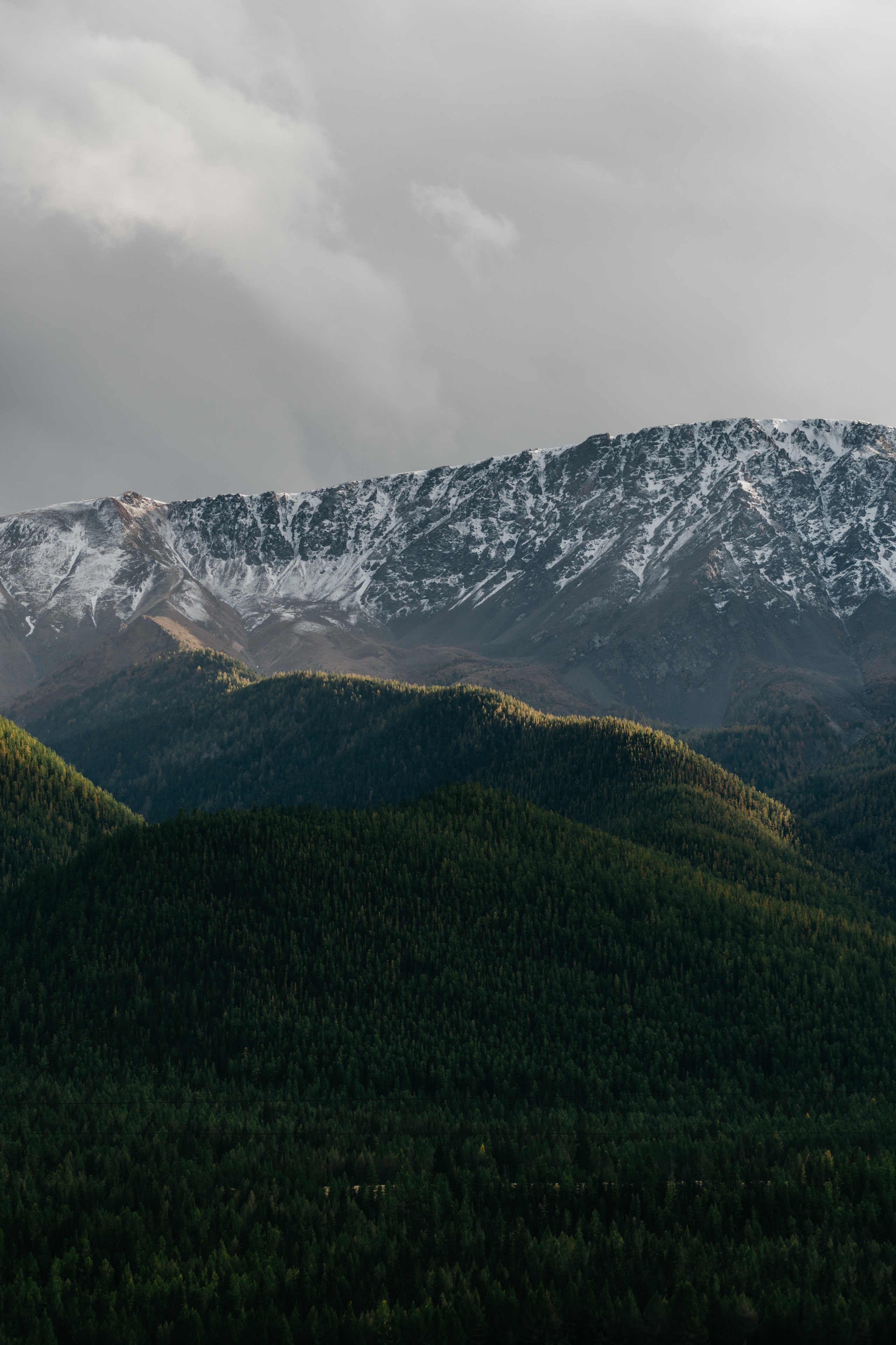 ФОТО. Видеограф Сочи Александр Барсуков