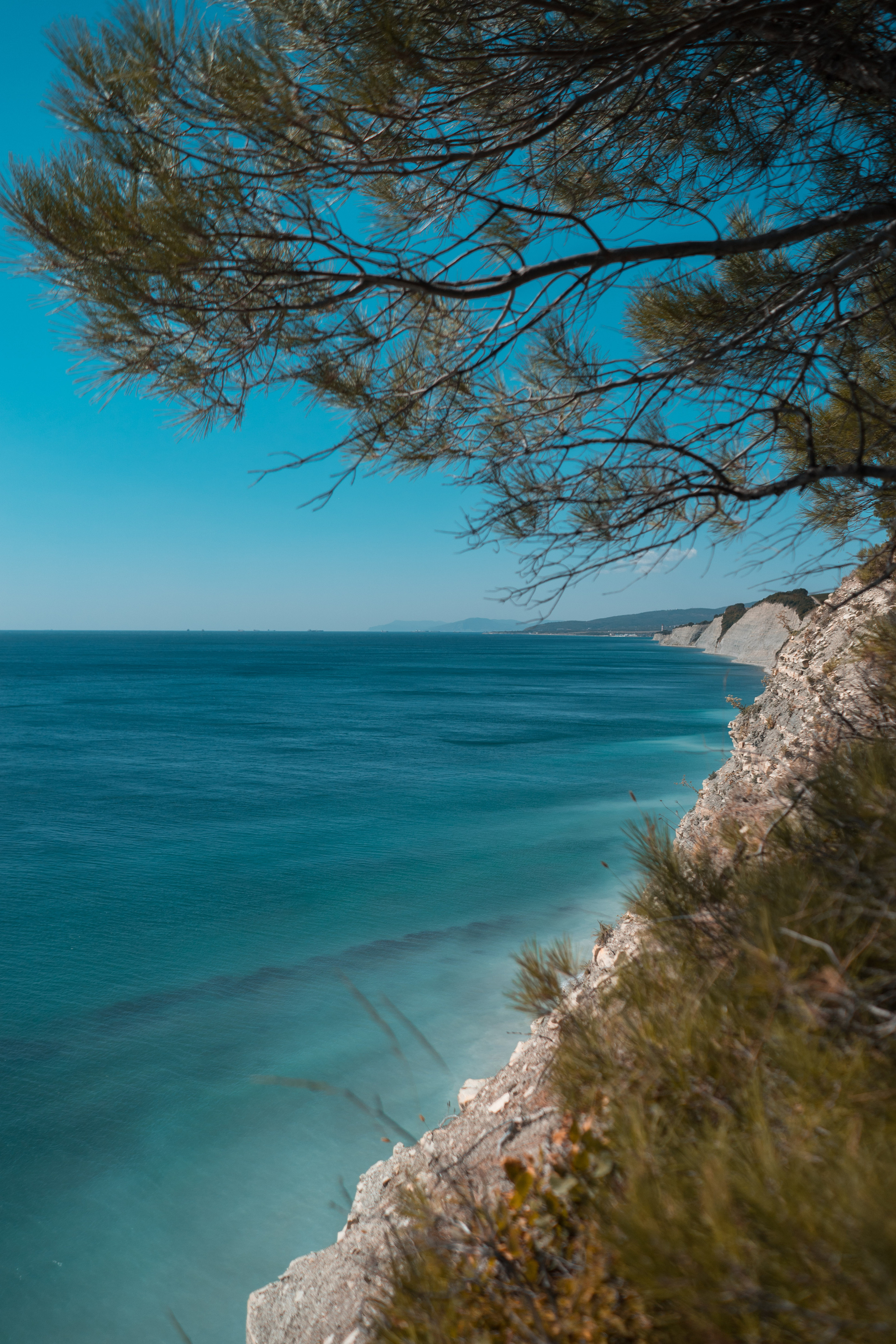 ФОТО. Видеограф Сочи Александр Барсуков