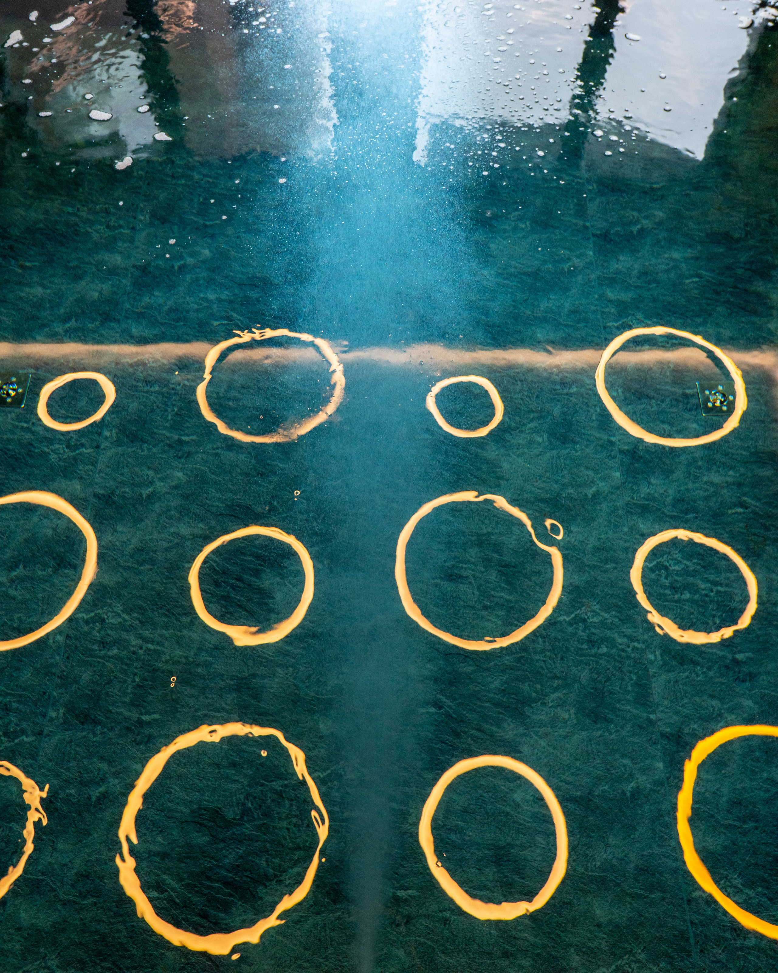 ФОТО. Видеограф Сочи Александр Барсуков