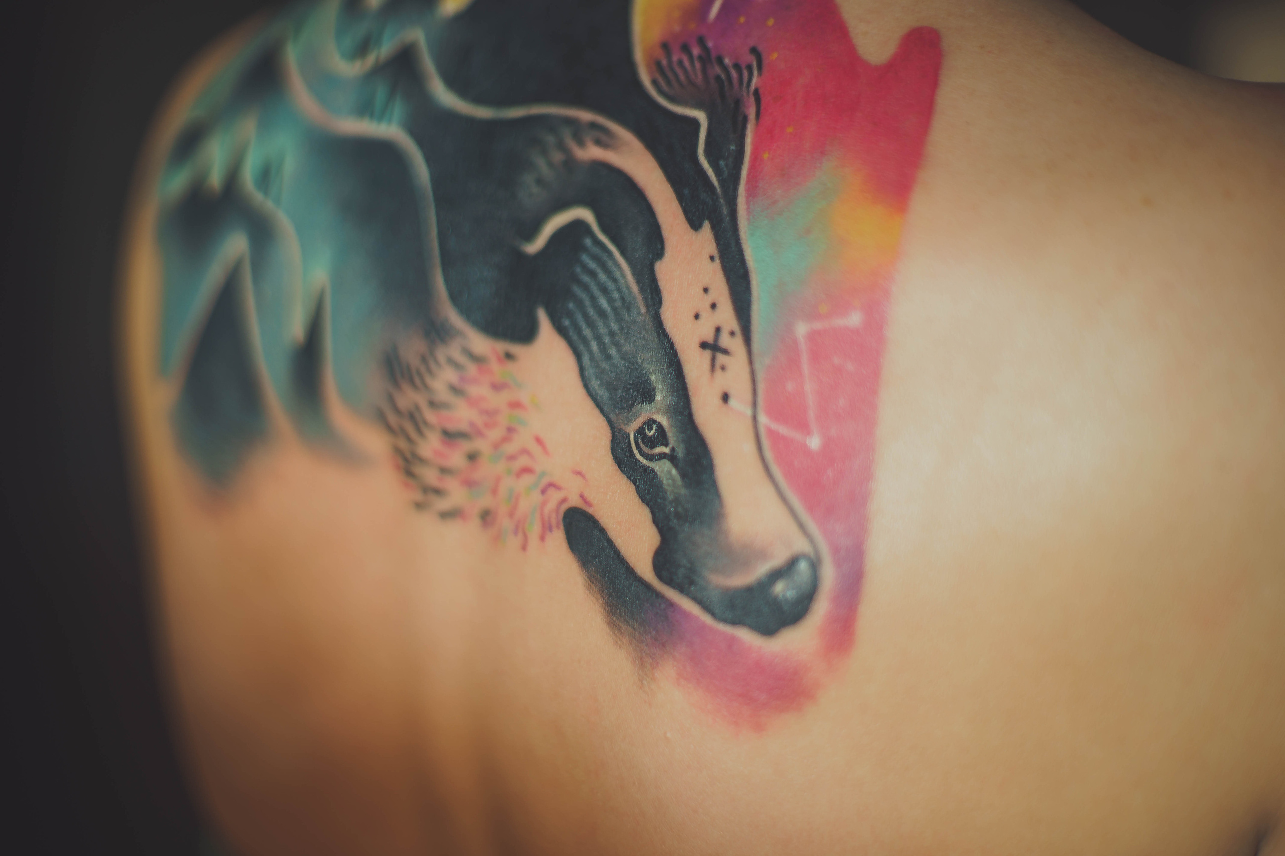 ФОТО. Видеограф Сочи Александр Барсуков