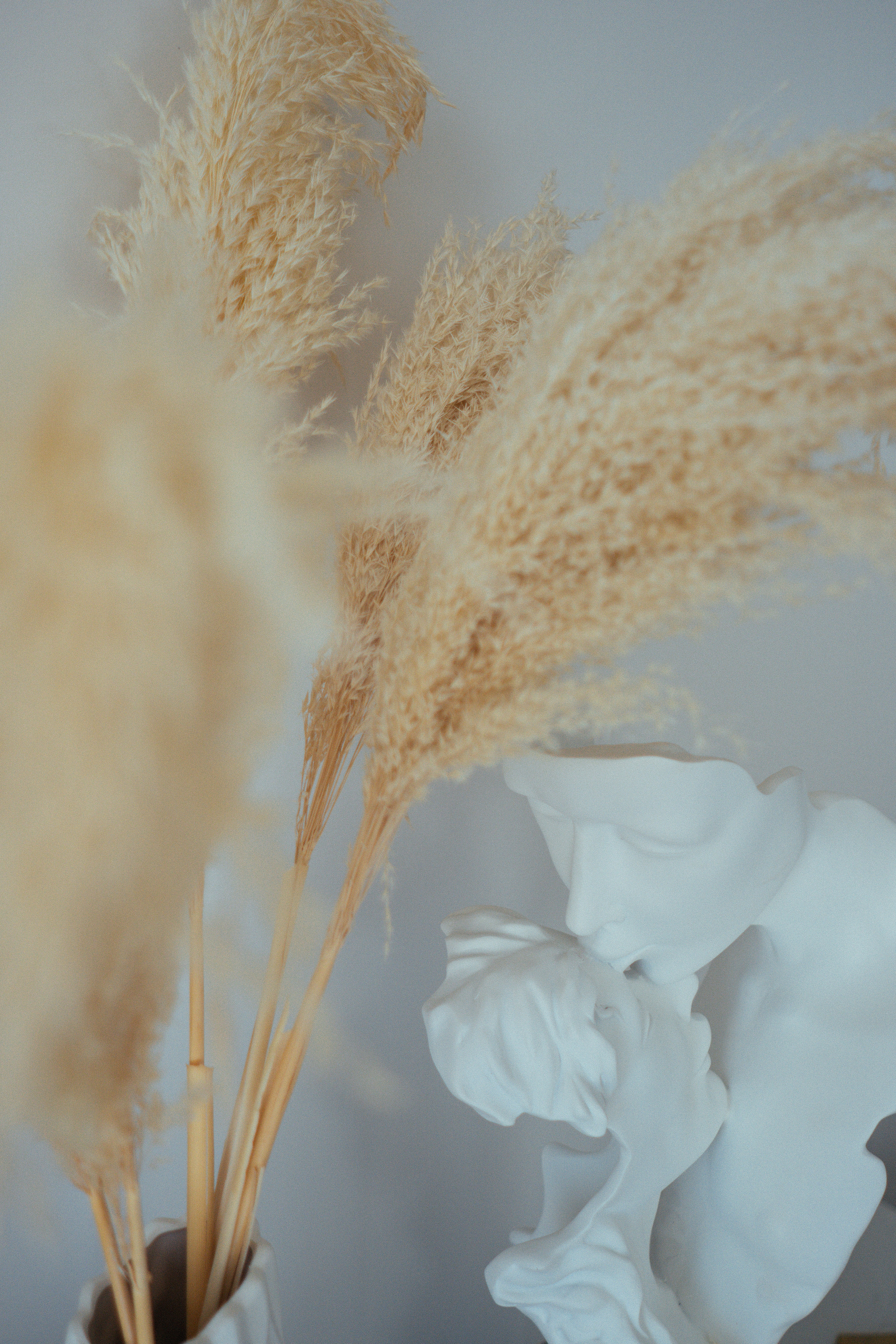 ФОТО. Видеограф Сочи Александр Барсуков