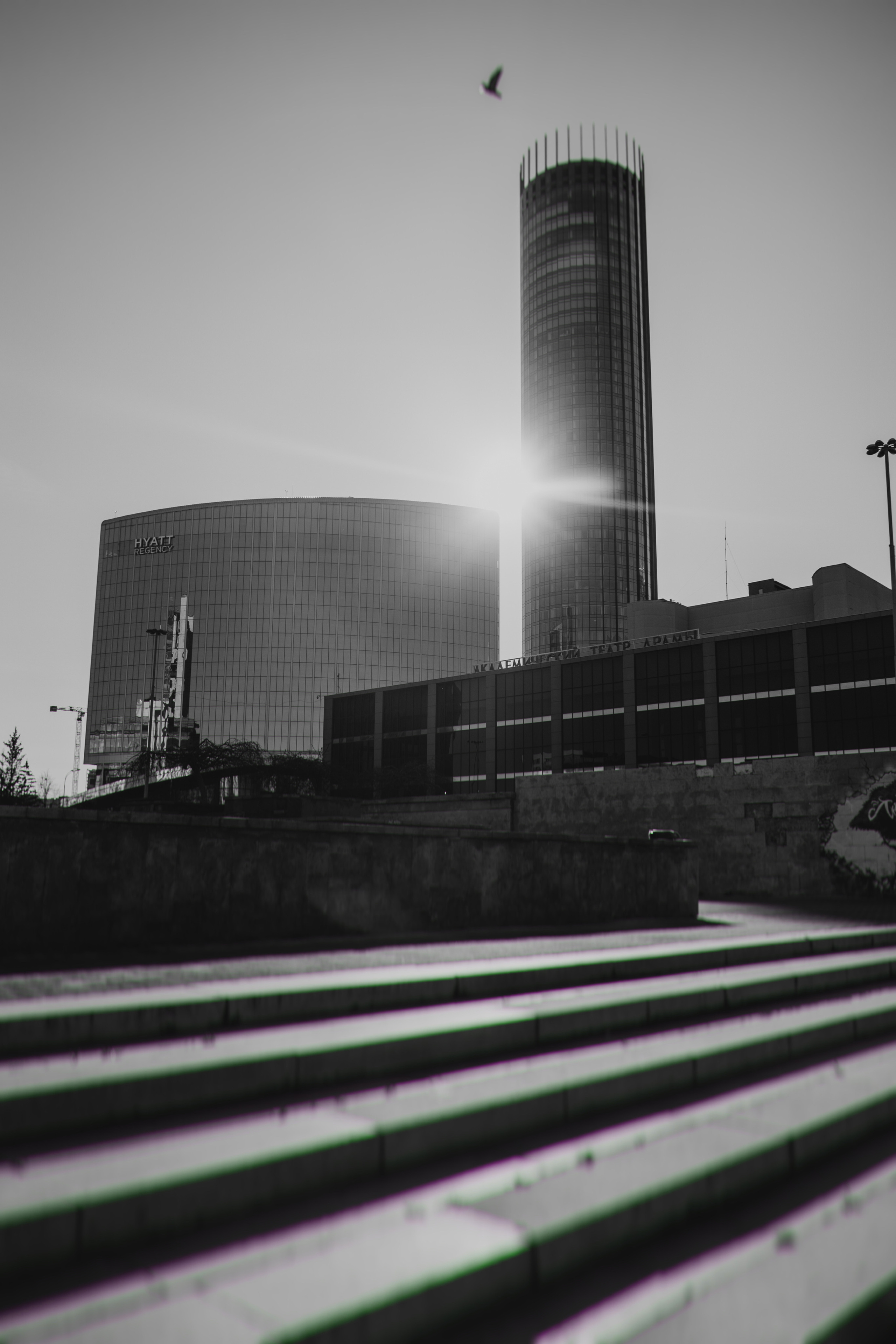 ФОТО. Видеограф Сочи Александр Барсуков