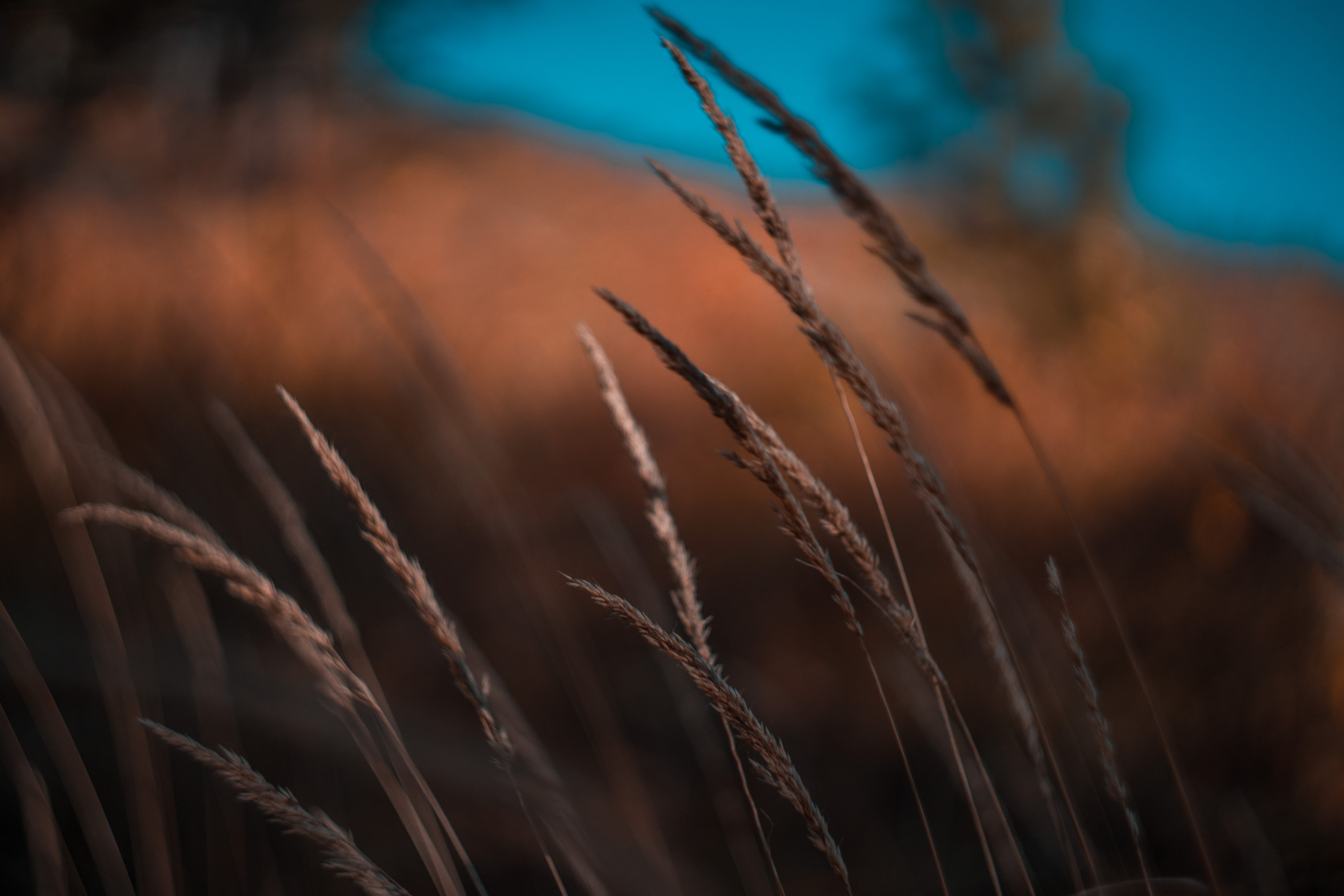 ФОТО. Видеограф Сочи Александр Барсуков
