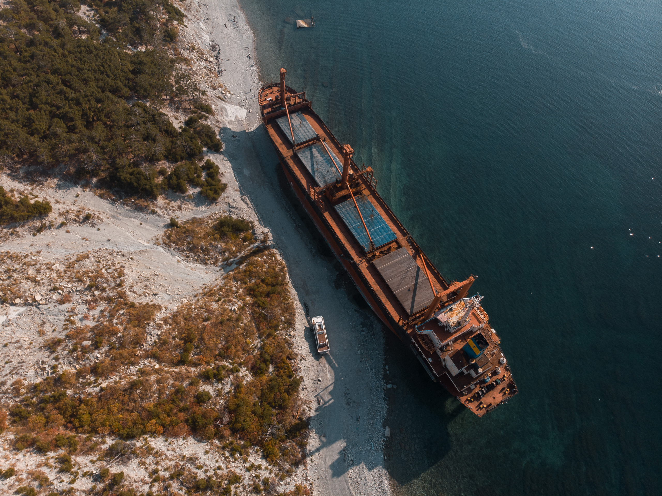 ФОТО. Видеограф Сочи Александр Барсуков