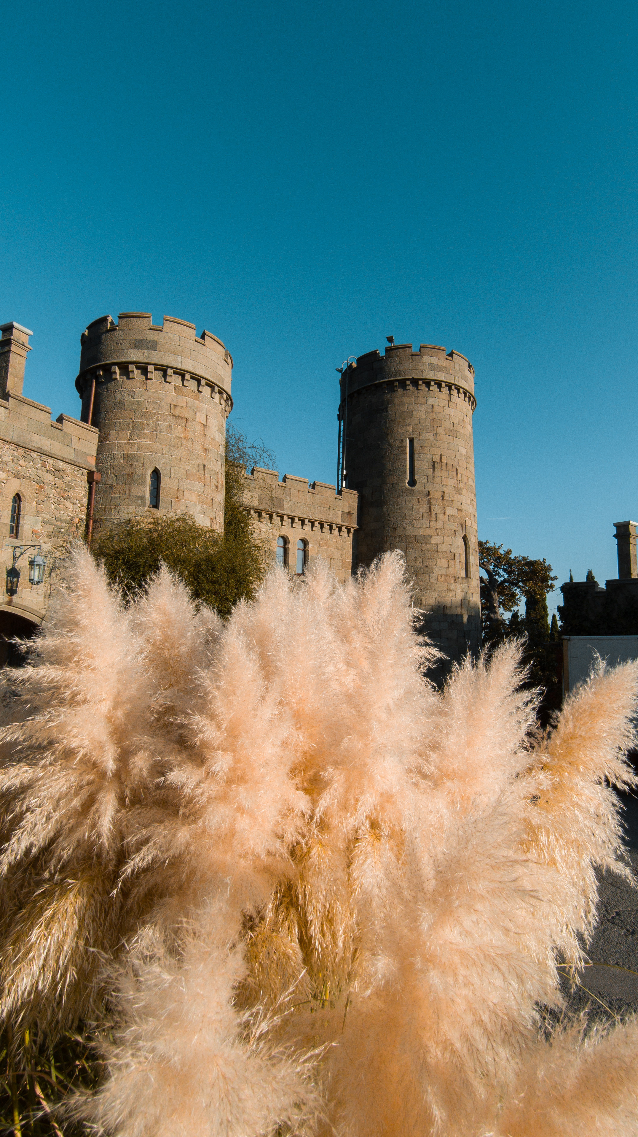 ФОТО. Видеограф Сочи Александр Барсуков