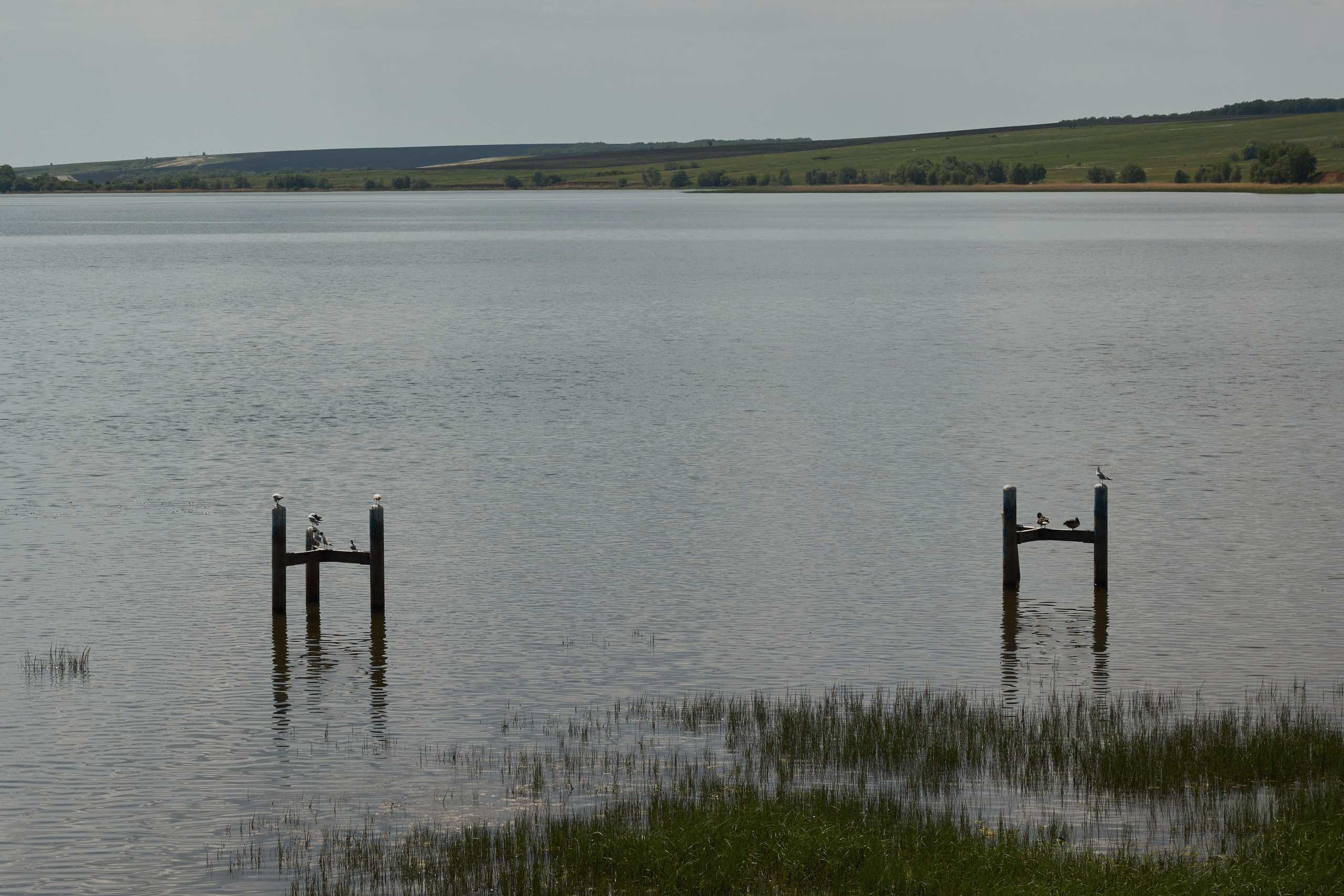 Дарья и Алексей