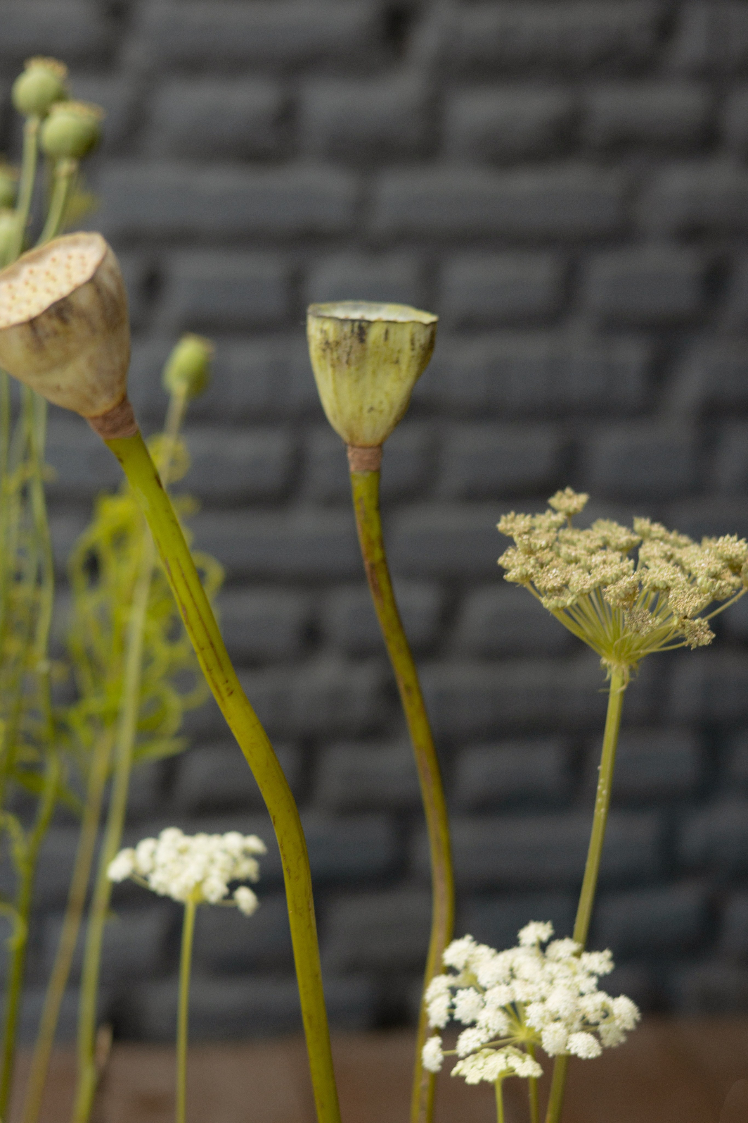 Никита & Катя. Оформление свадеб, декор свадеб Вера Маркова, Москва