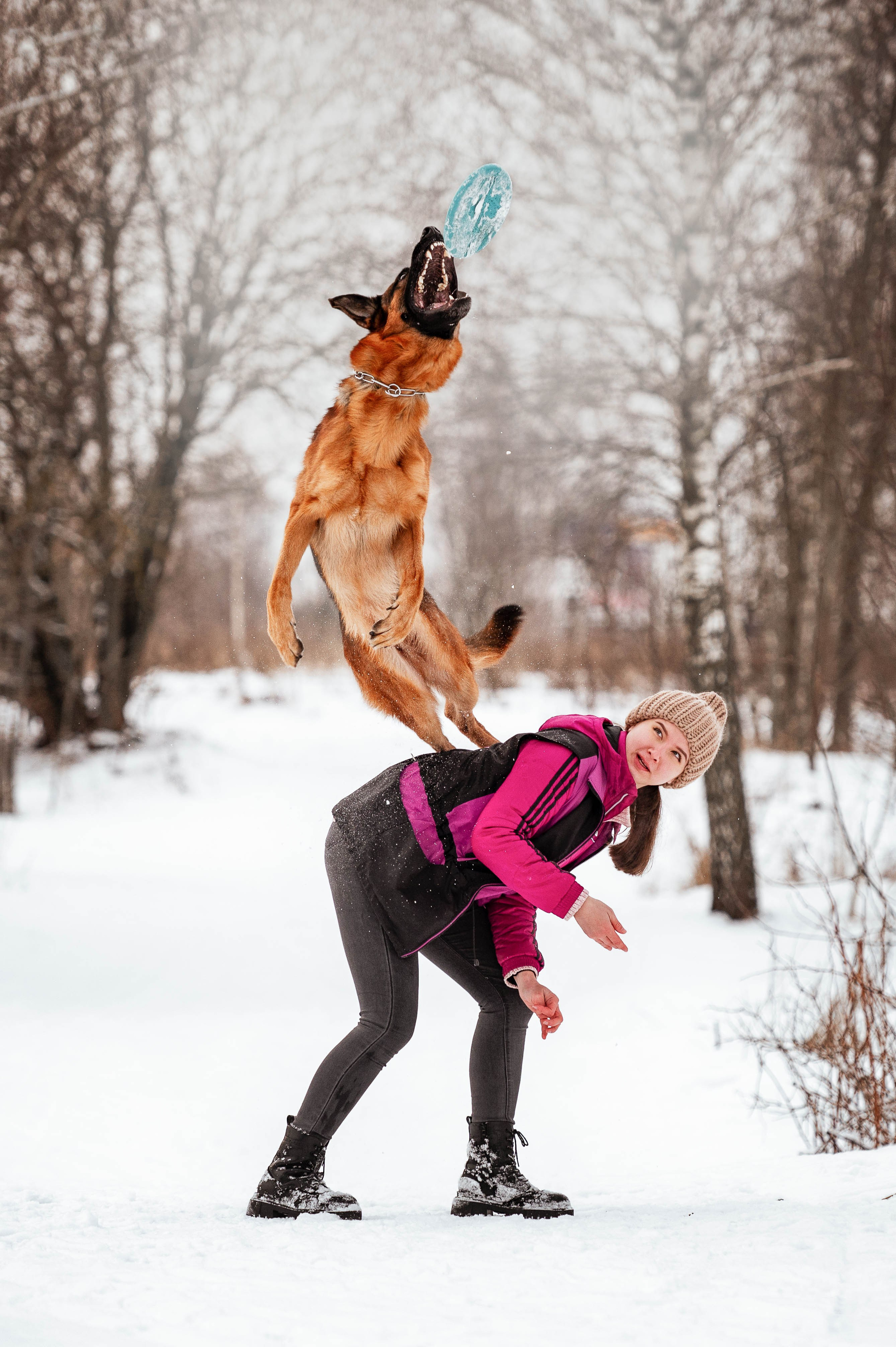 Вольт. Фотограф-анималист