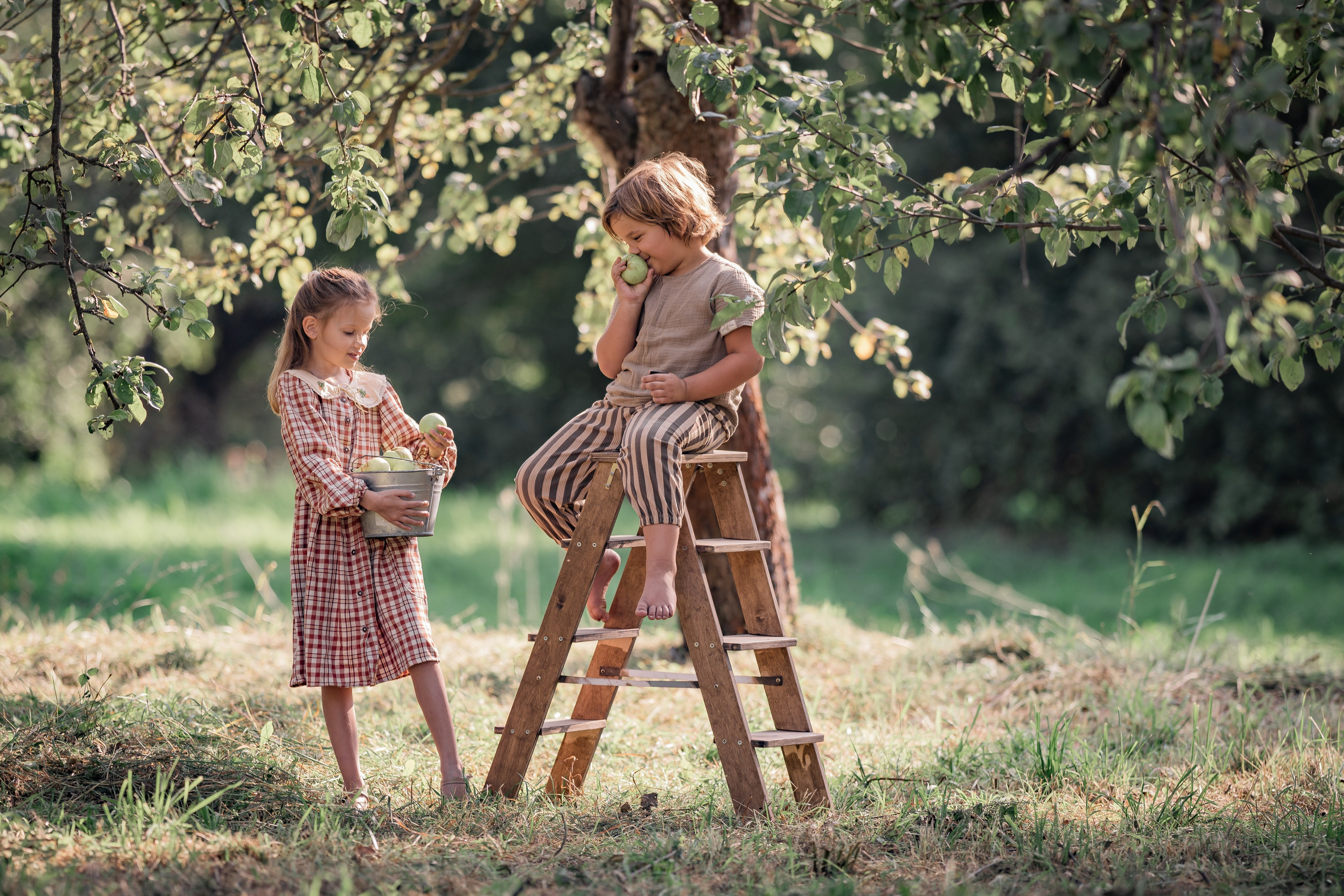 Яблочный сад. Семейный фотограф Ефремова Виктория