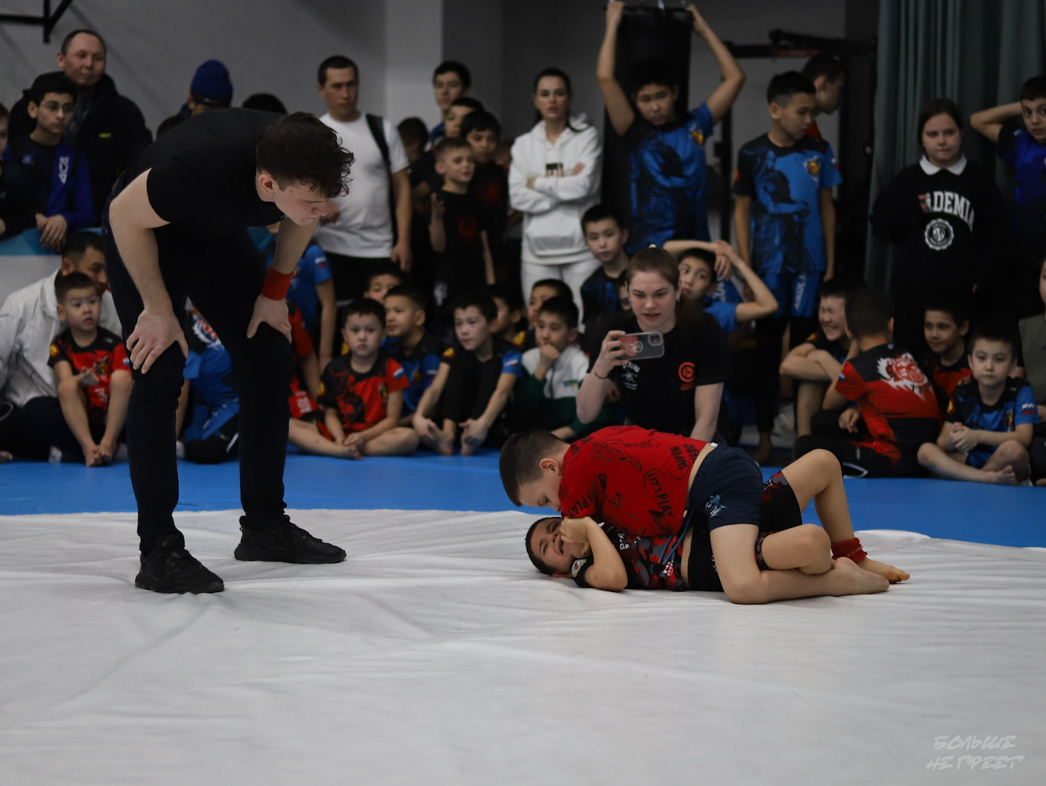 GORILLA PRIDE CUP. Больше не греет