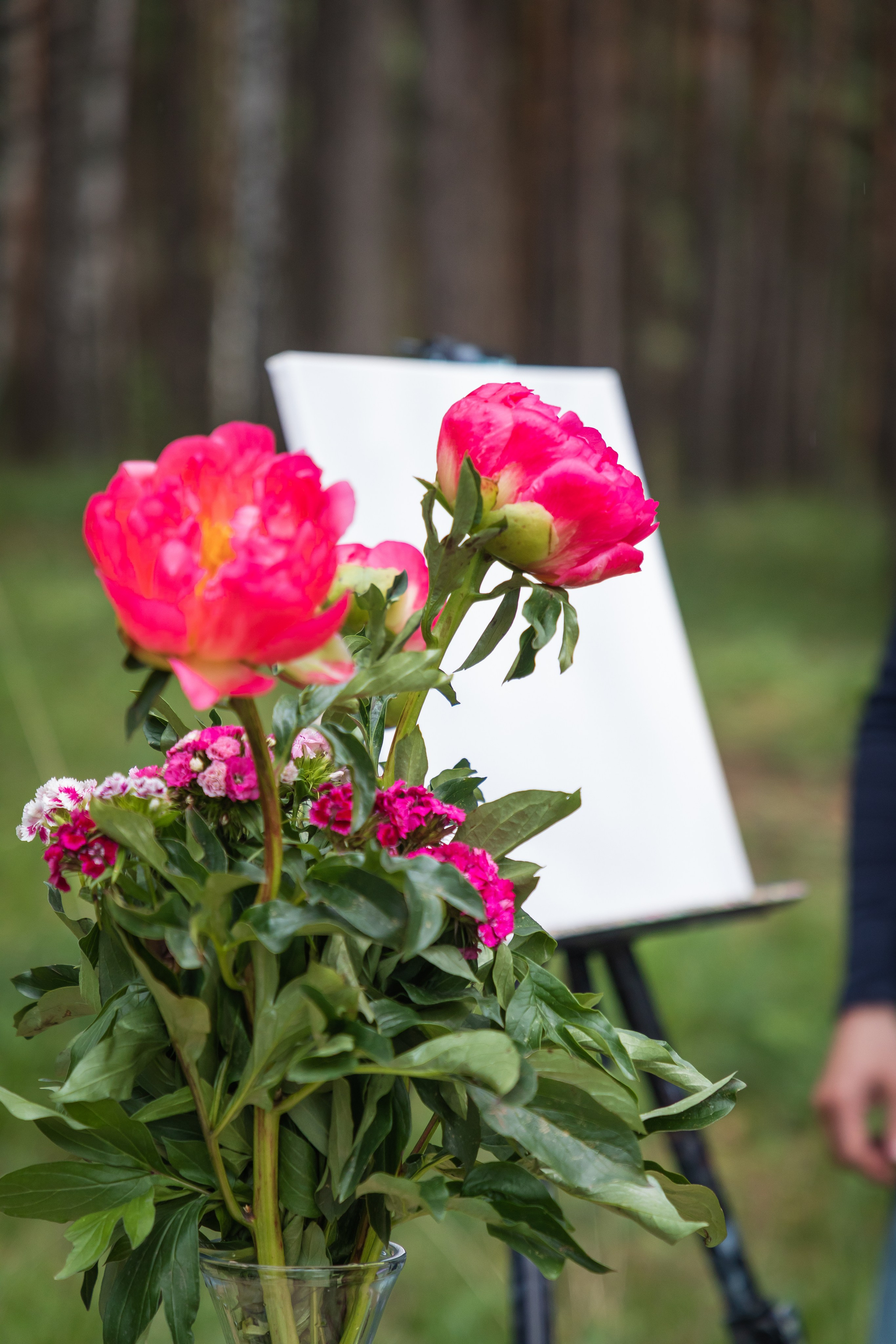 Эвер Джаз. Главная