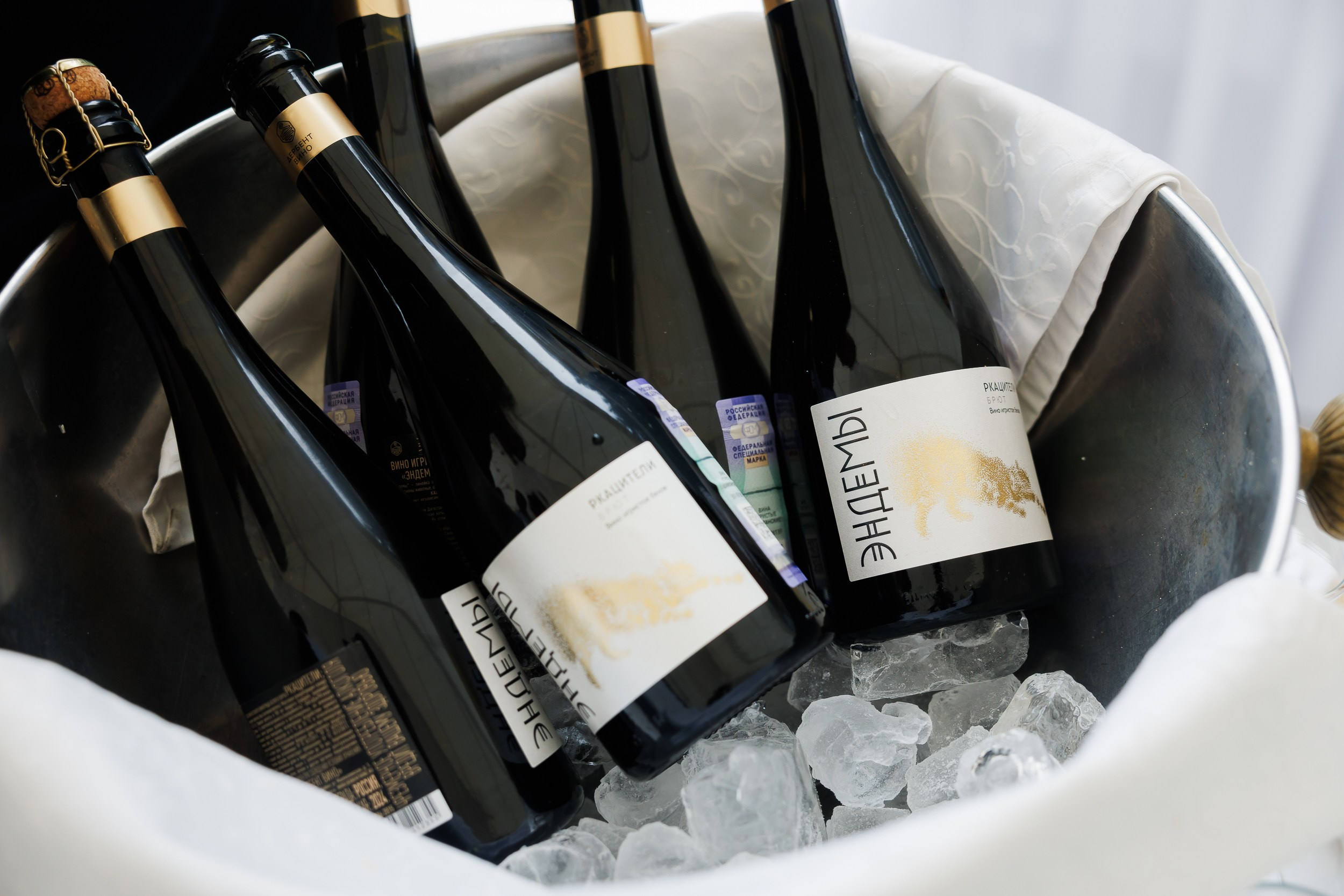 Регаты. Репортажный и свадебный фотограф Катерина Потапова