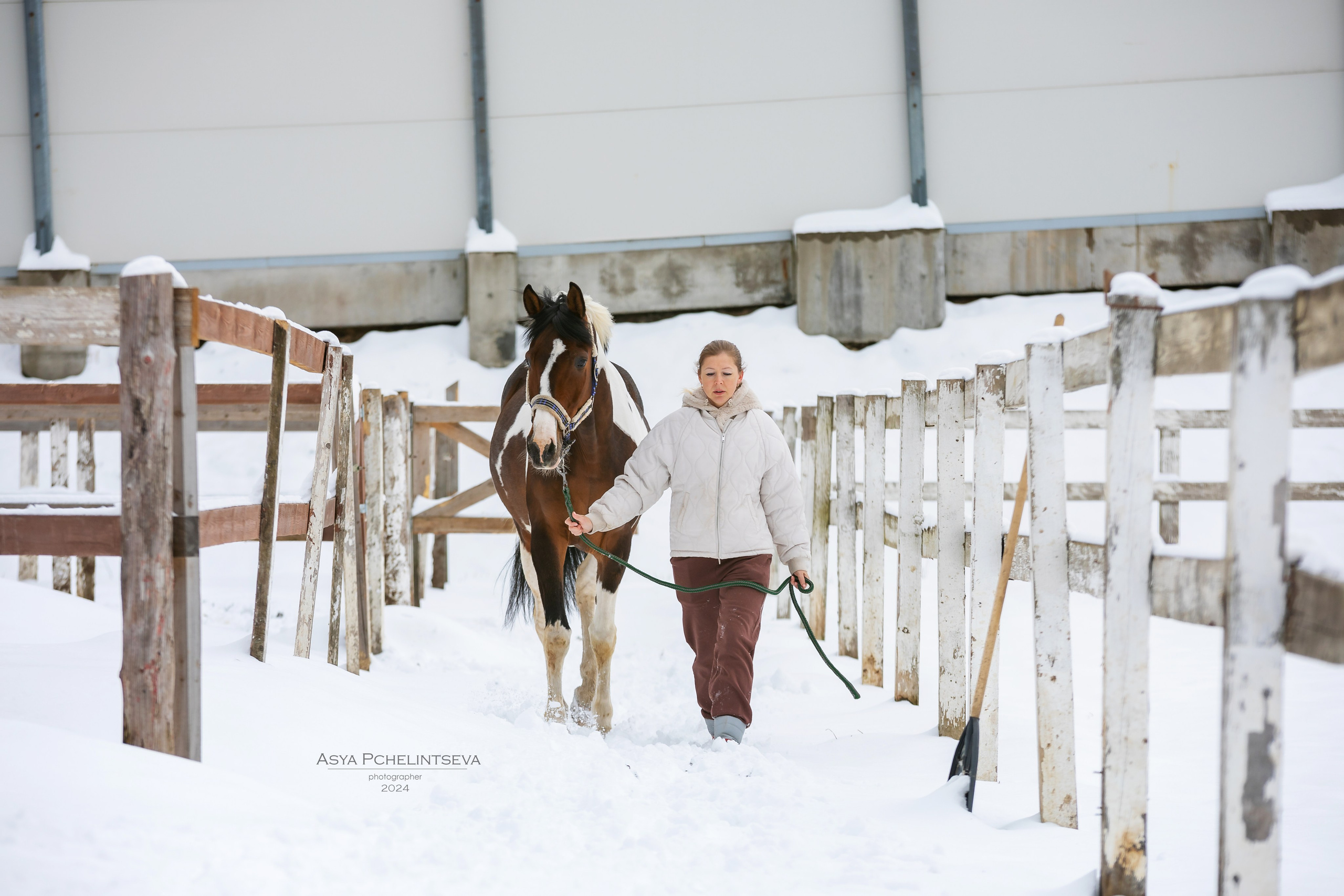 Баядера. Ася Пчелинцева, фотограф в СПб и ЛО