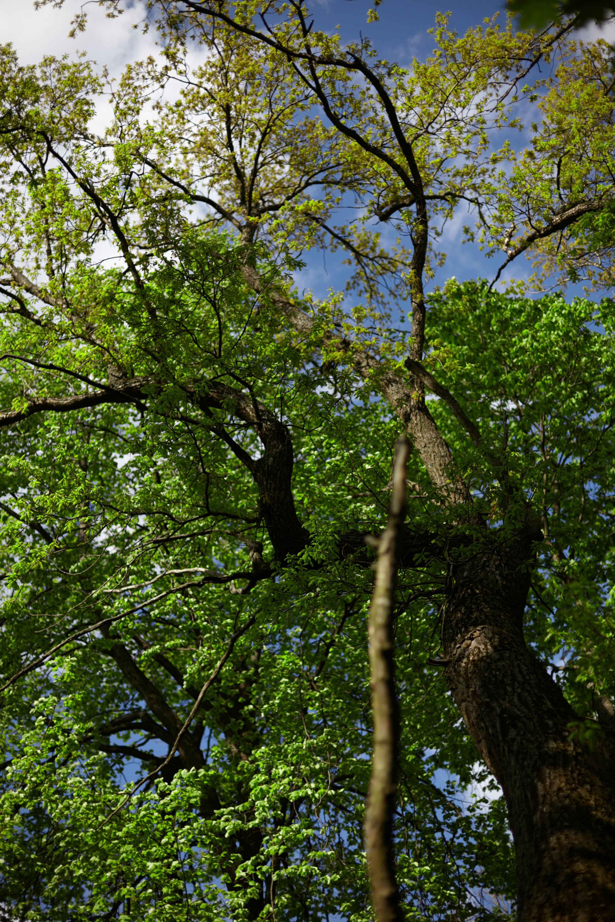 София в Сашино. Одежда из Санкт-Петербурга СИНИОКО