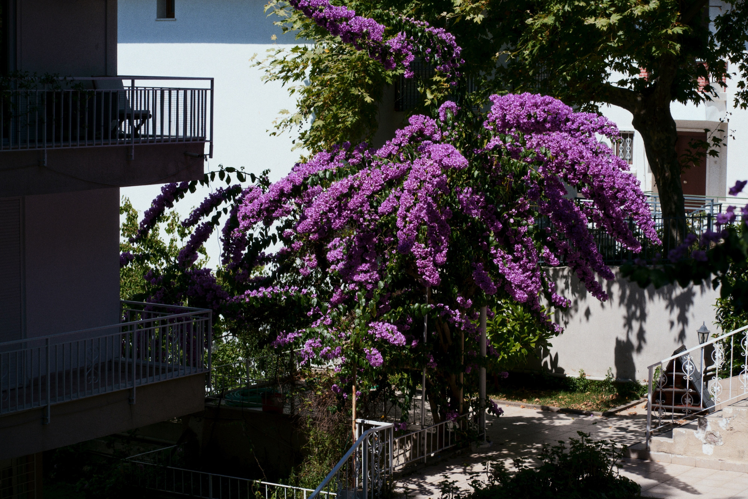 Büyükada х Heybeliada, Istanbul / Türkey SS25. Фотограф Юрин Евгений