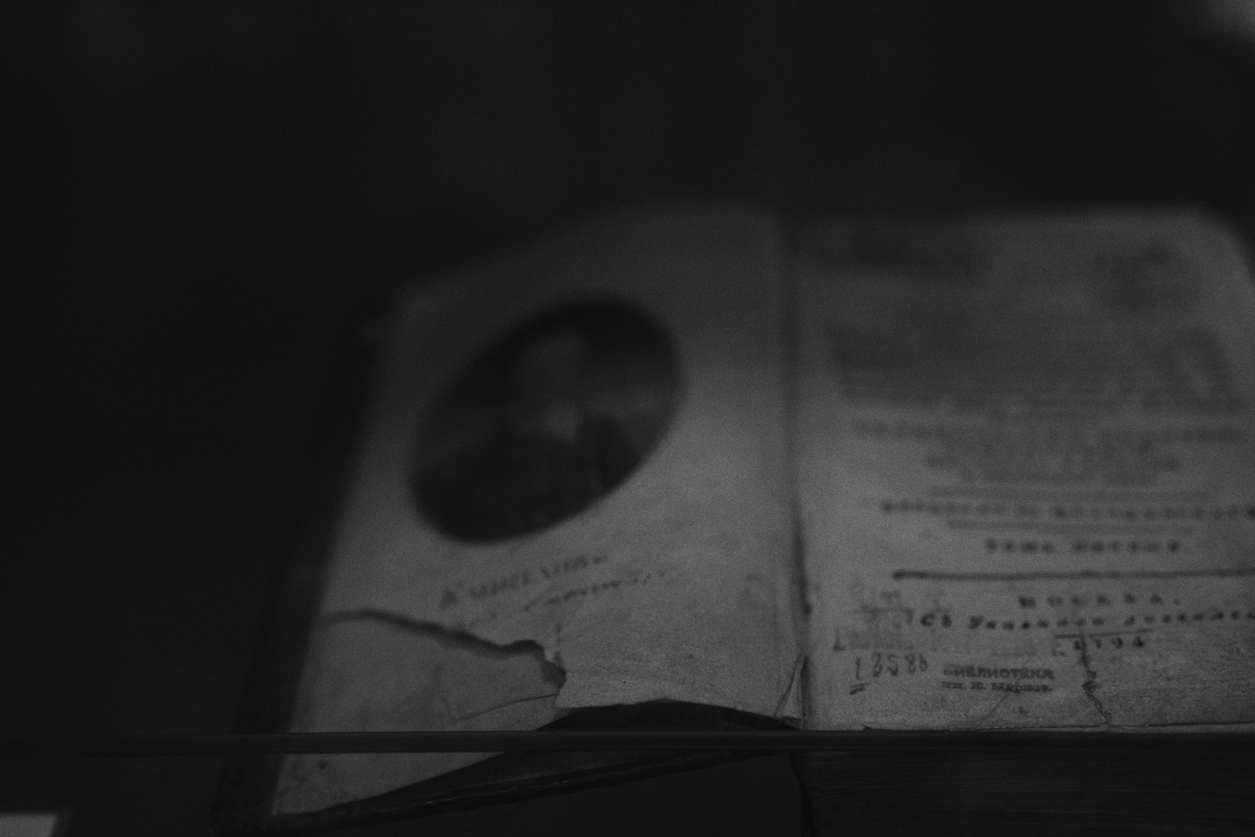 DSPL. Фотограф Юрин Евгений