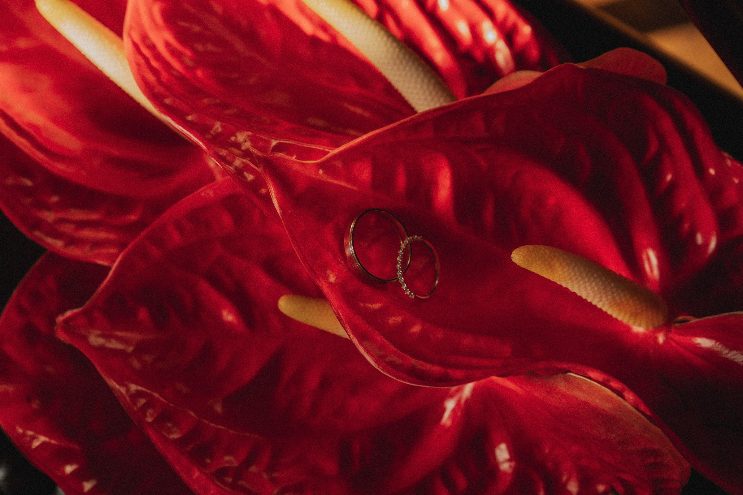 О ♡ Е — В книге нашей жизни (Библиотека-читальня им. А.С.Пушкина). Свадебный и портретный фотограф в Москве, Светлана Янковая