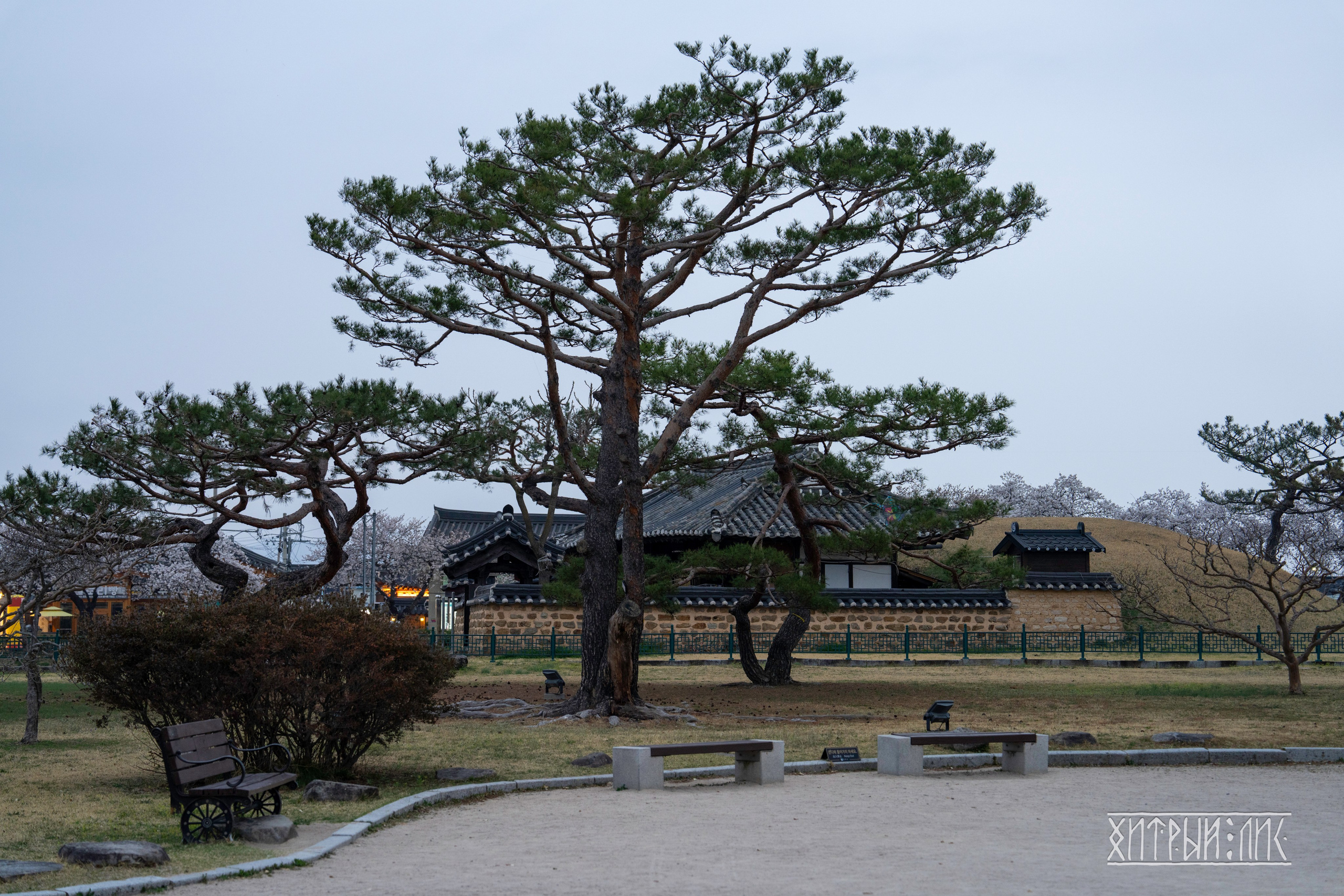 Южная Корея. Фотограф-путешественник Самойлов Максим «Sly Fox»
