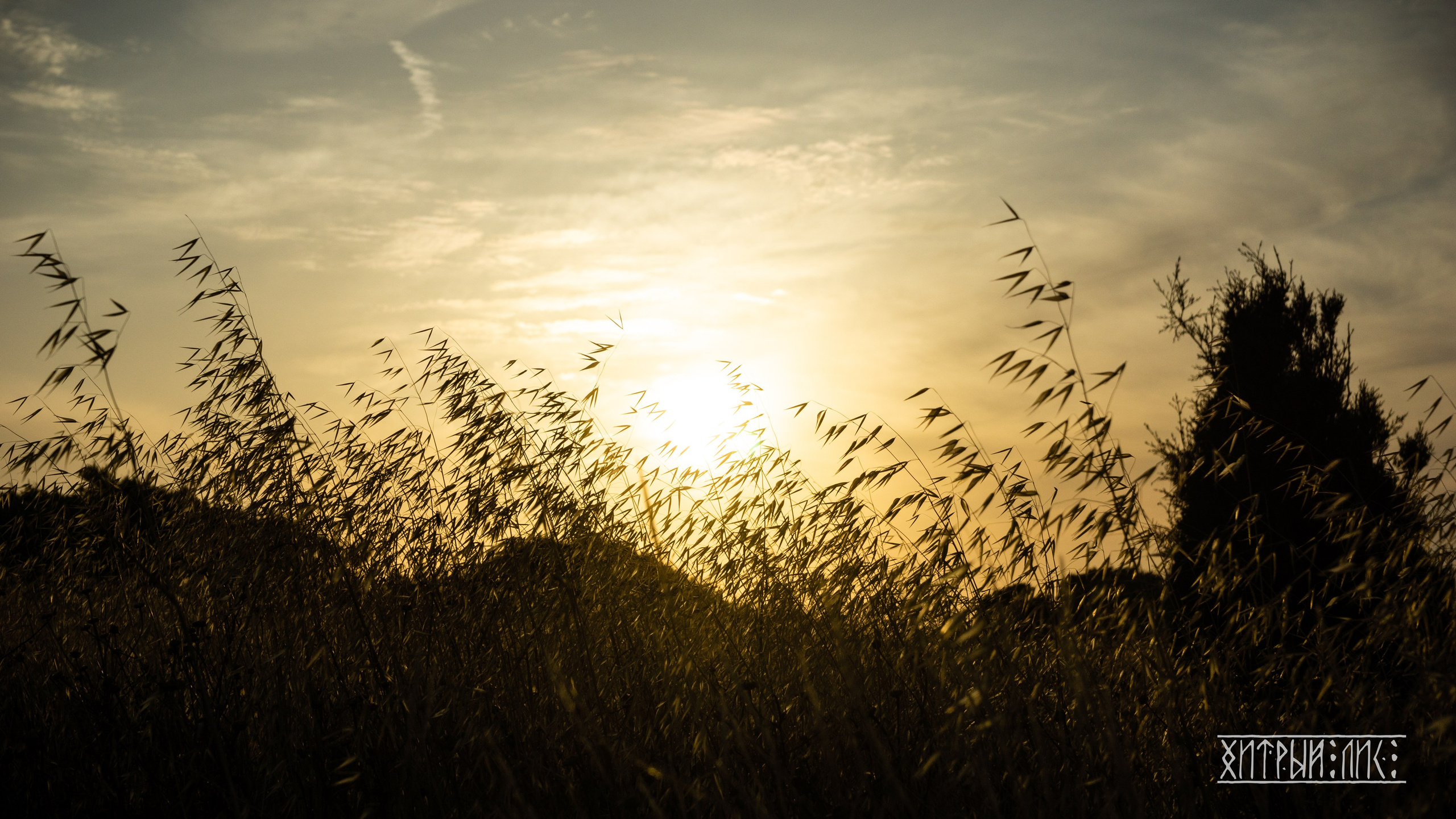 Кипр. Фотограф-путешественник Самойлов Максим «Sly Fox»