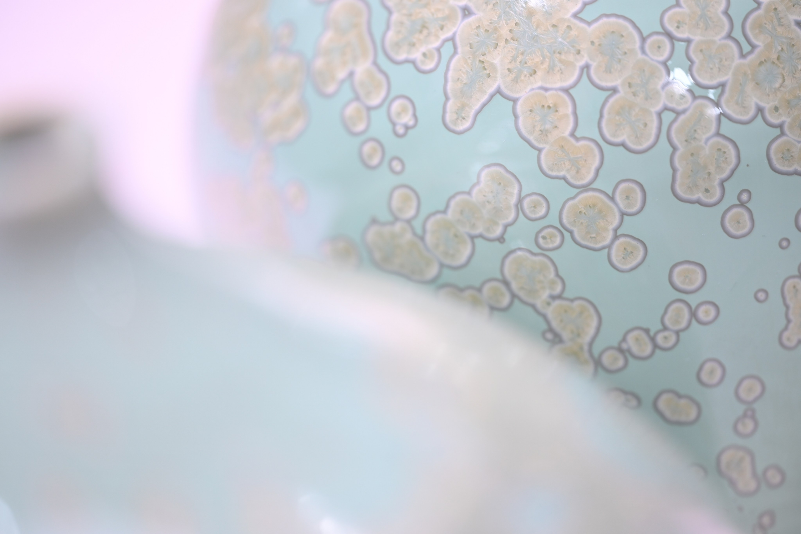 15х19 см, 17х15 см. 2023