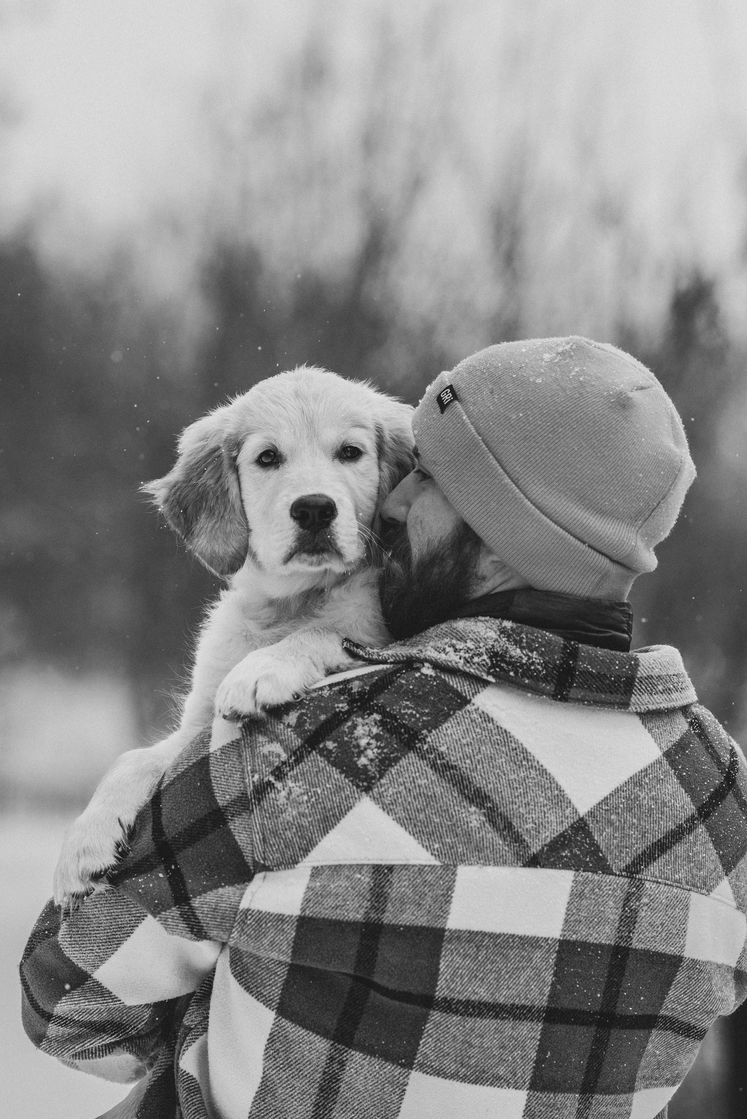 Sonia, Denis & Baggi. Natalia Finch Photography — Family, Kids & Pet Photographer in Chicago, IL