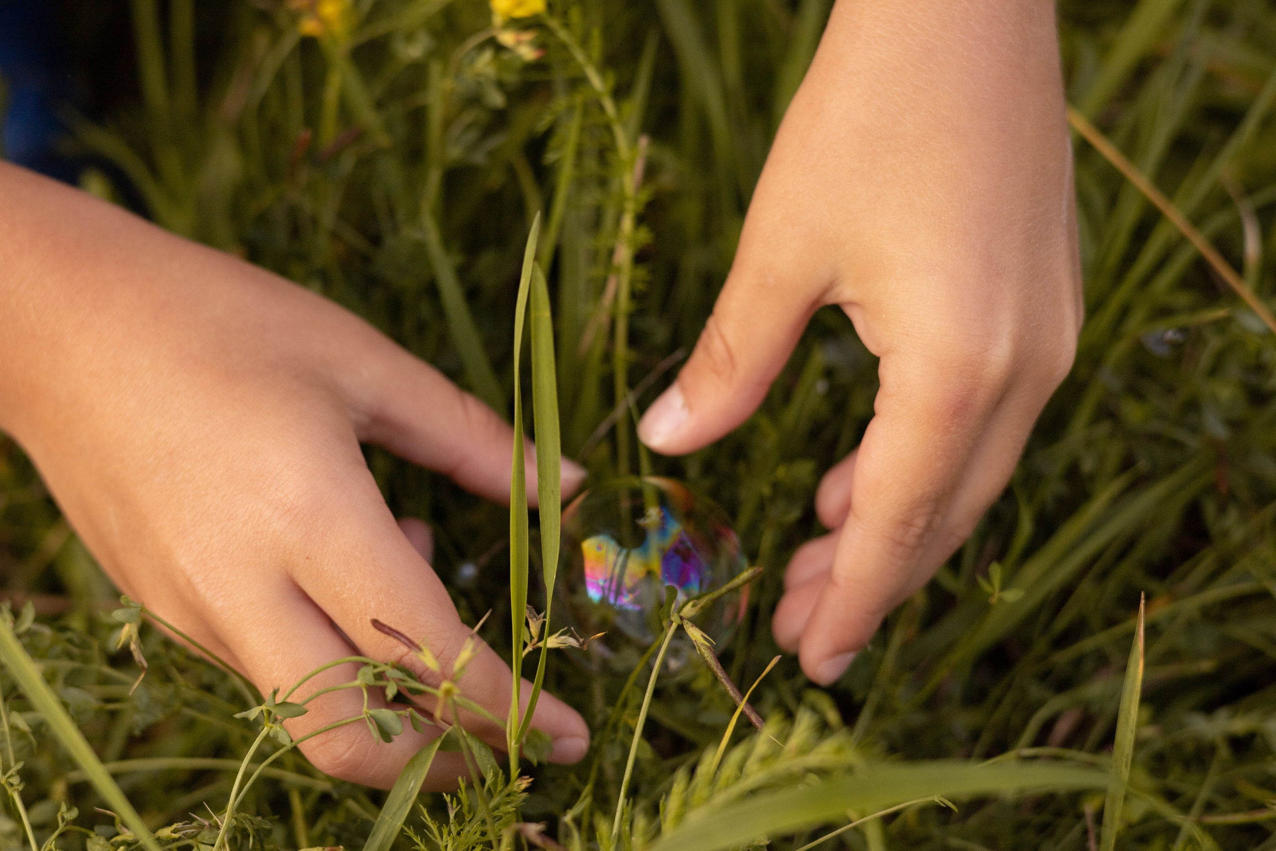 Катя и Олег. Семейная съёмка. Марина Лавинская Фотограф из Москвы