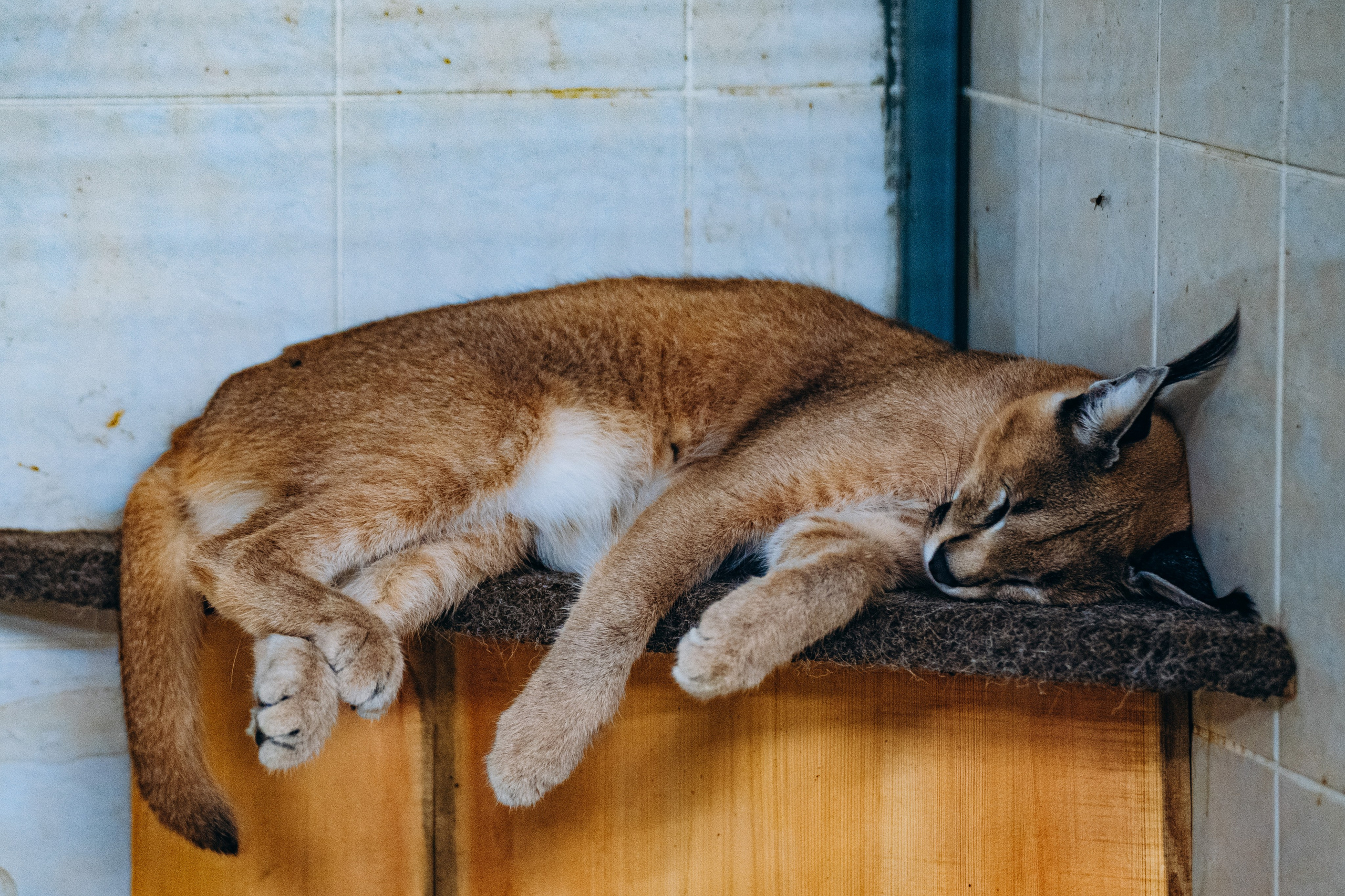 СЕВЕР. Event фотограф Степанова Александра