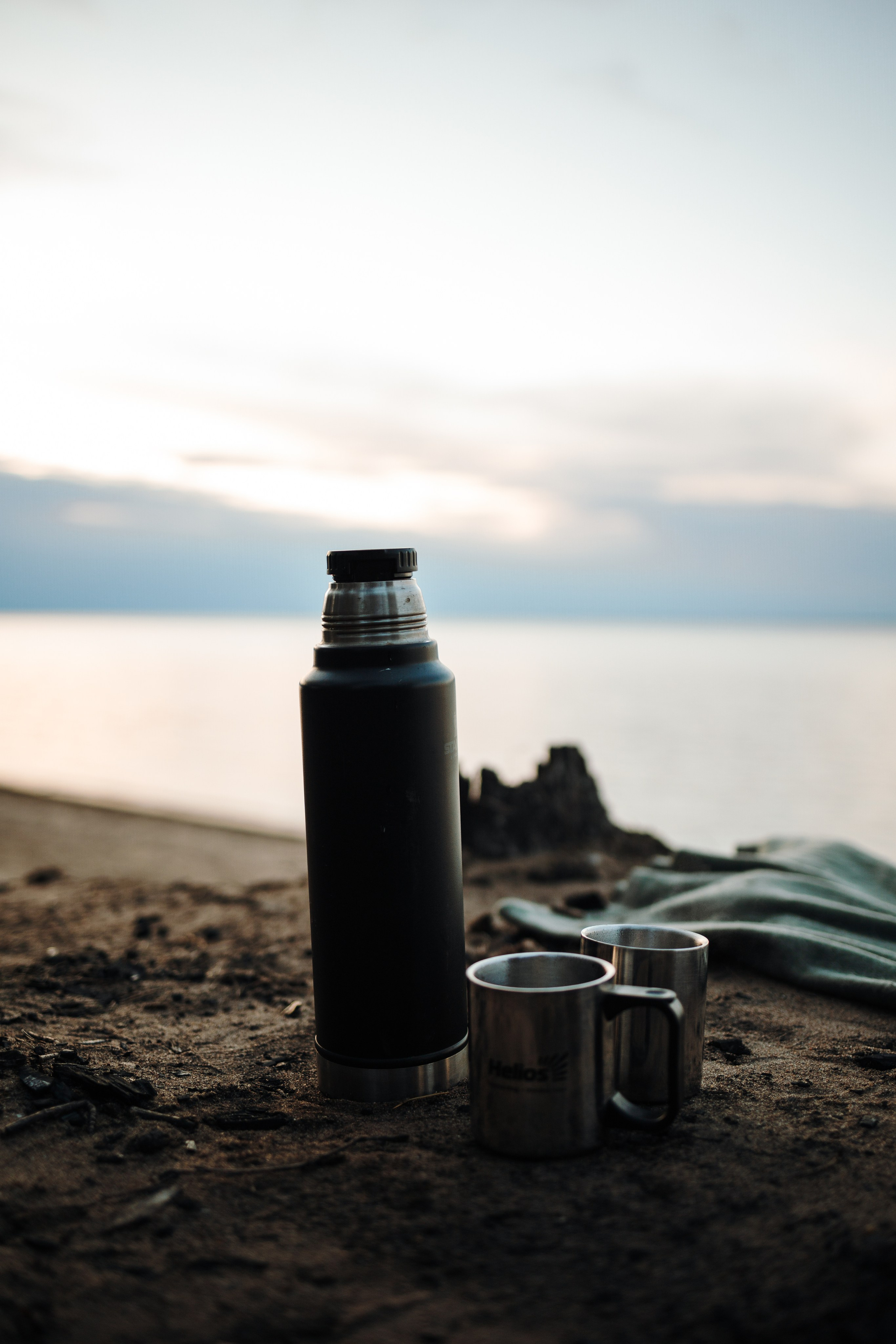 Найт и его семья. Фотограф — Анималист | Санкт-Петербург